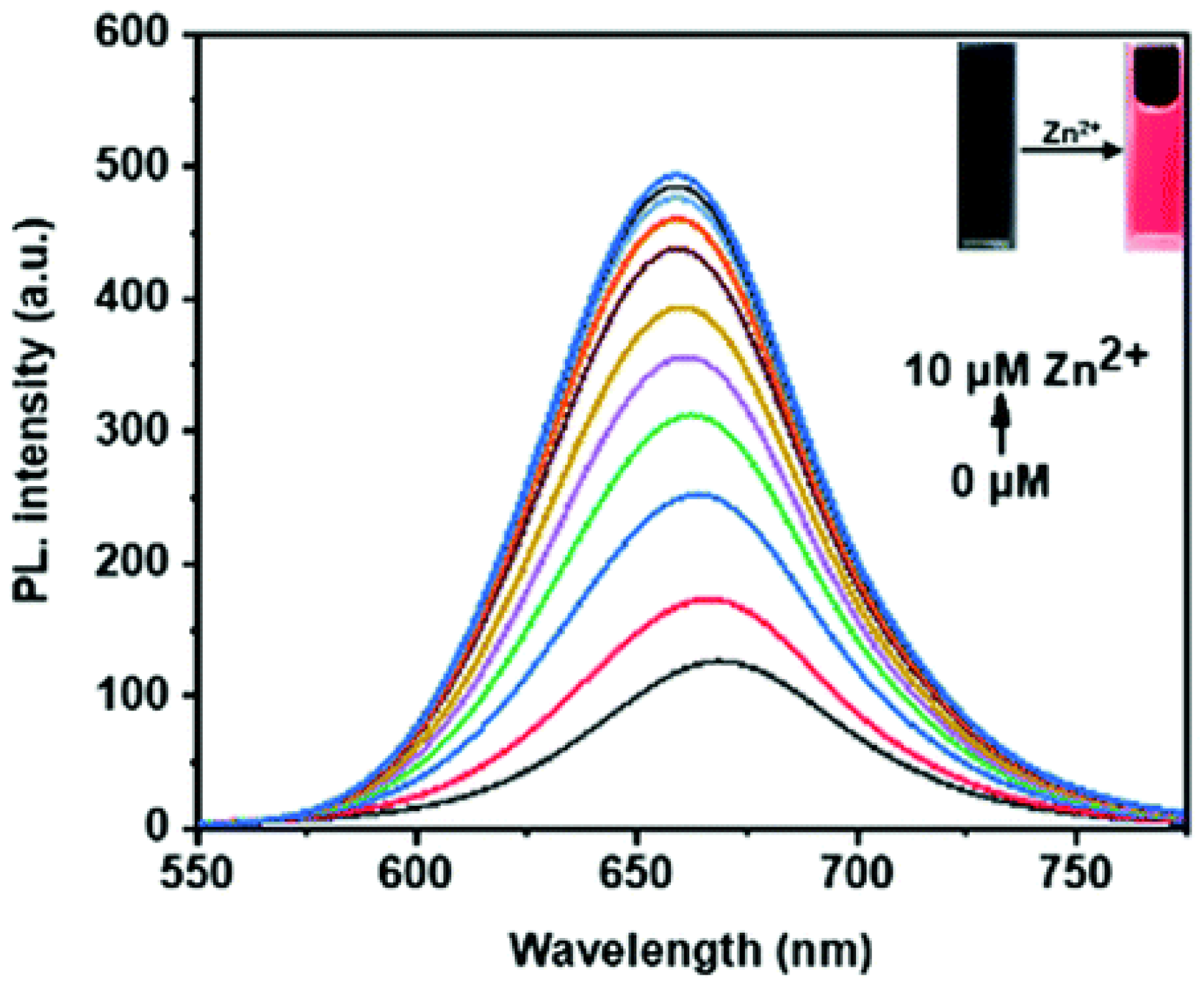 Molecules 29 02542 g001