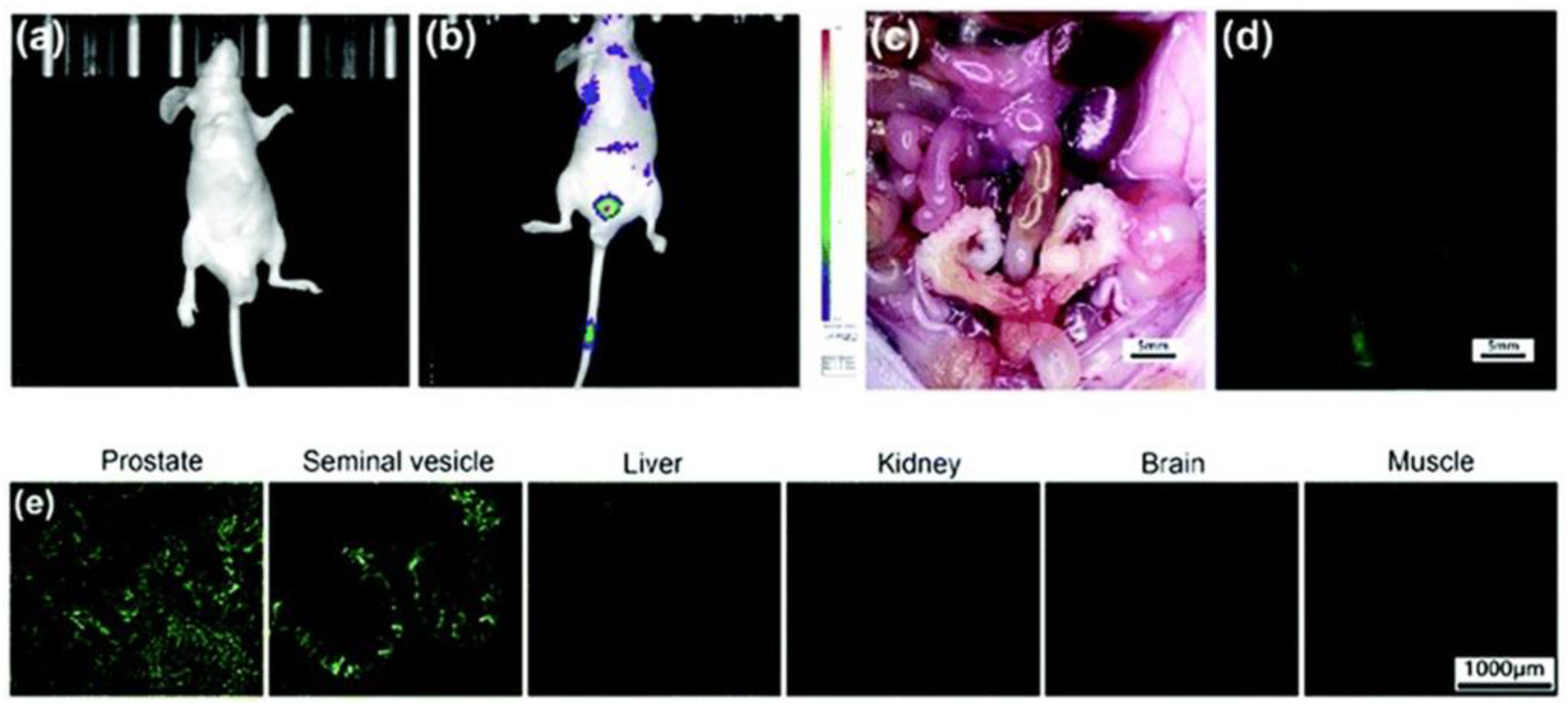 Molecules 29 02542 g008