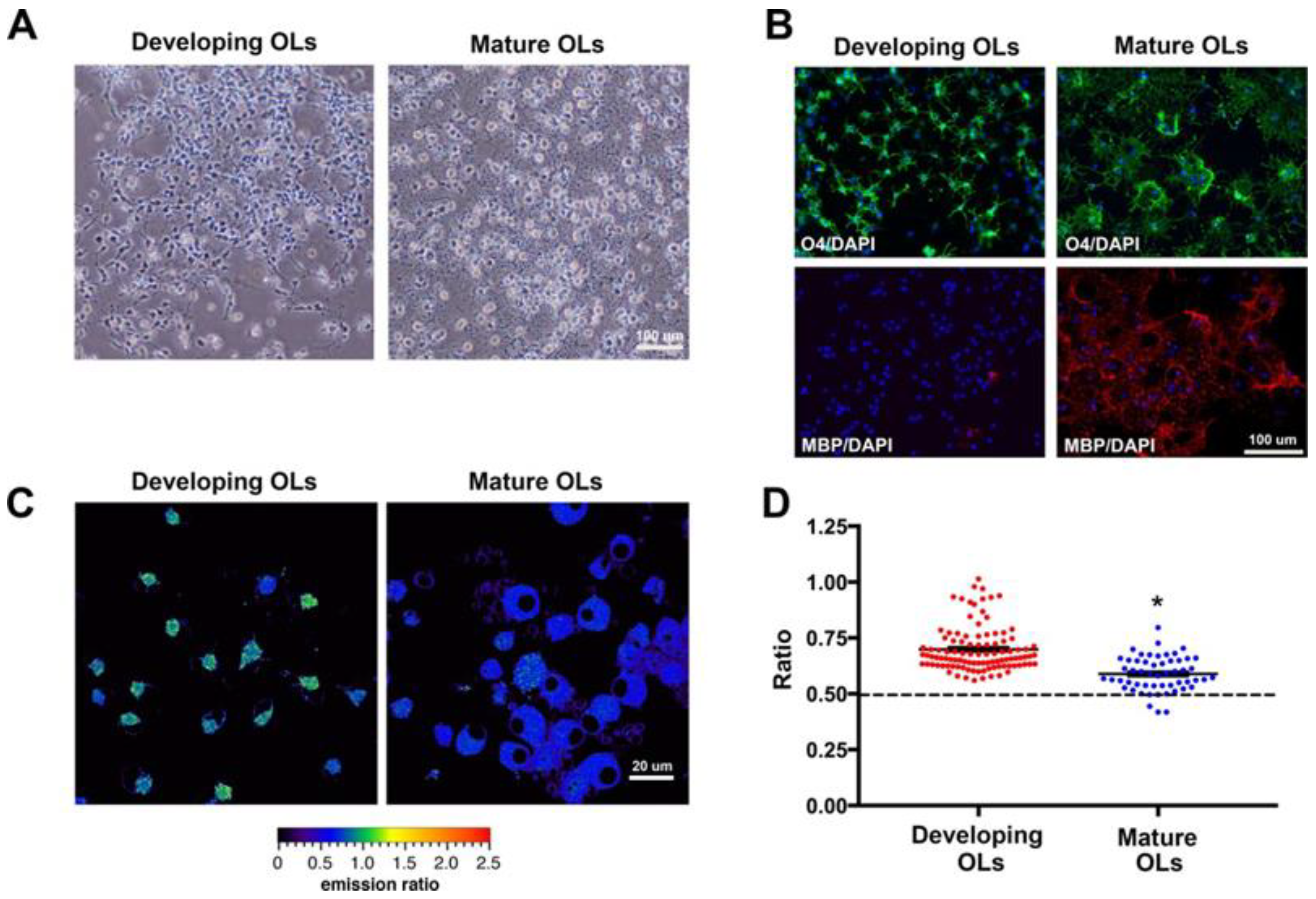 Molecules 29 02542 g014