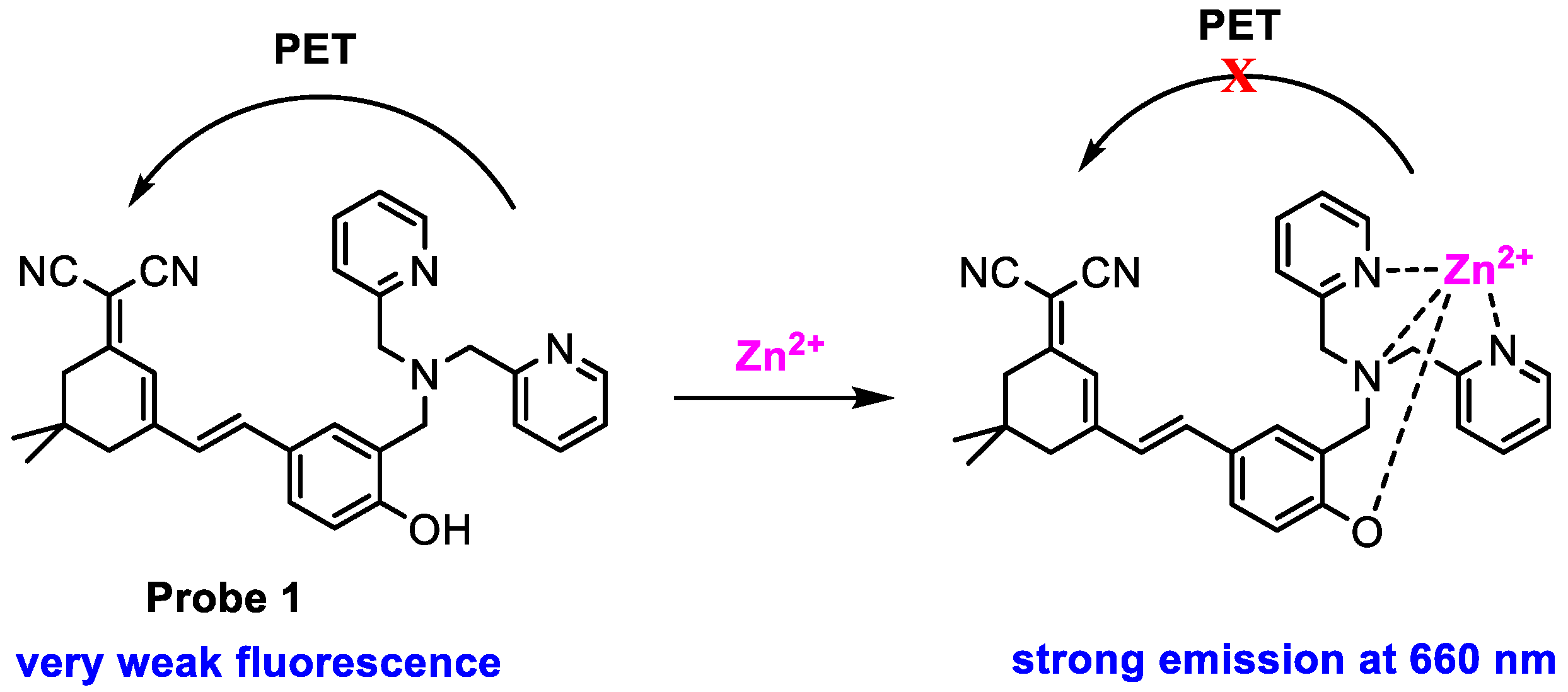 Molecules 29 02542 sch002