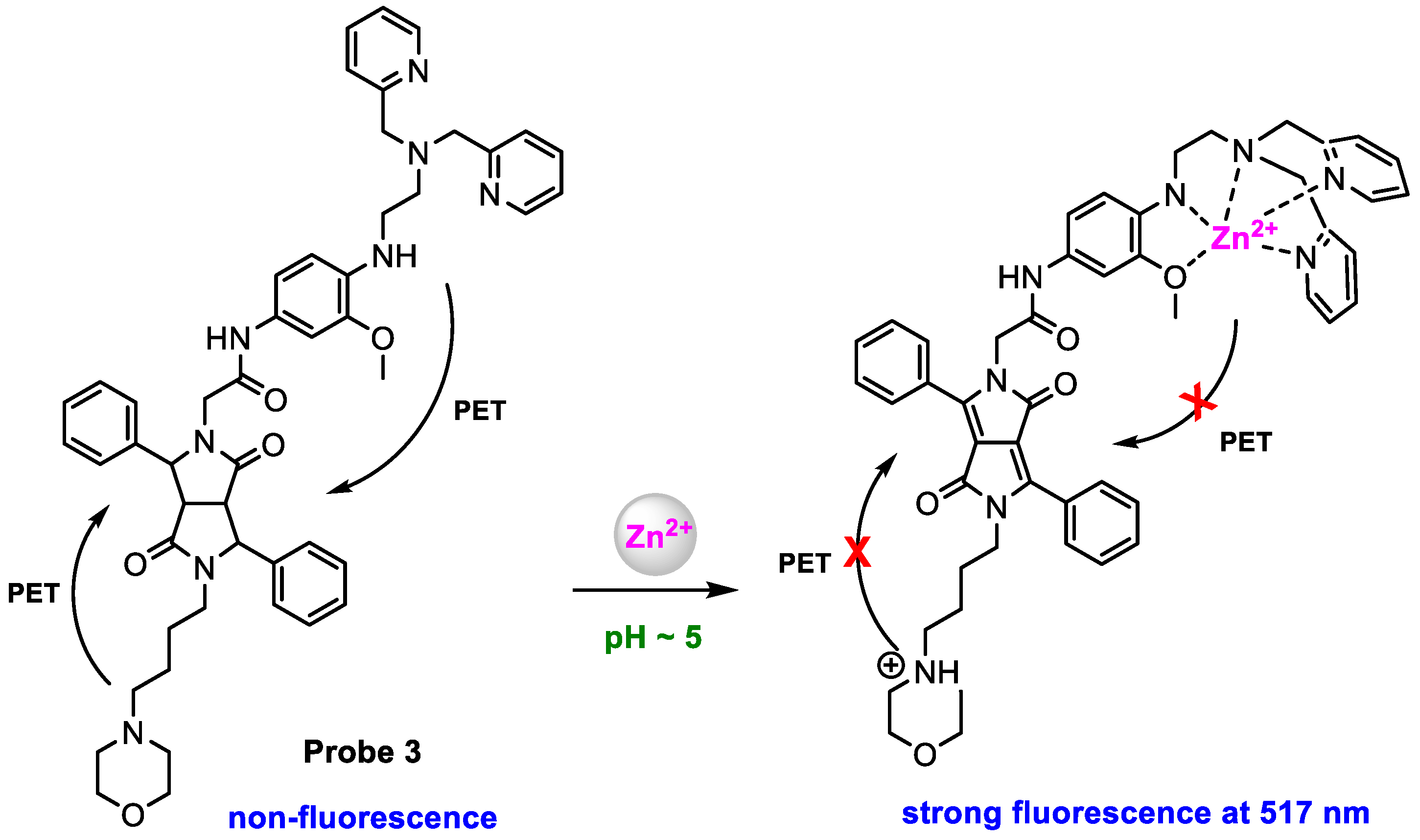Molecules 29 02542 sch004