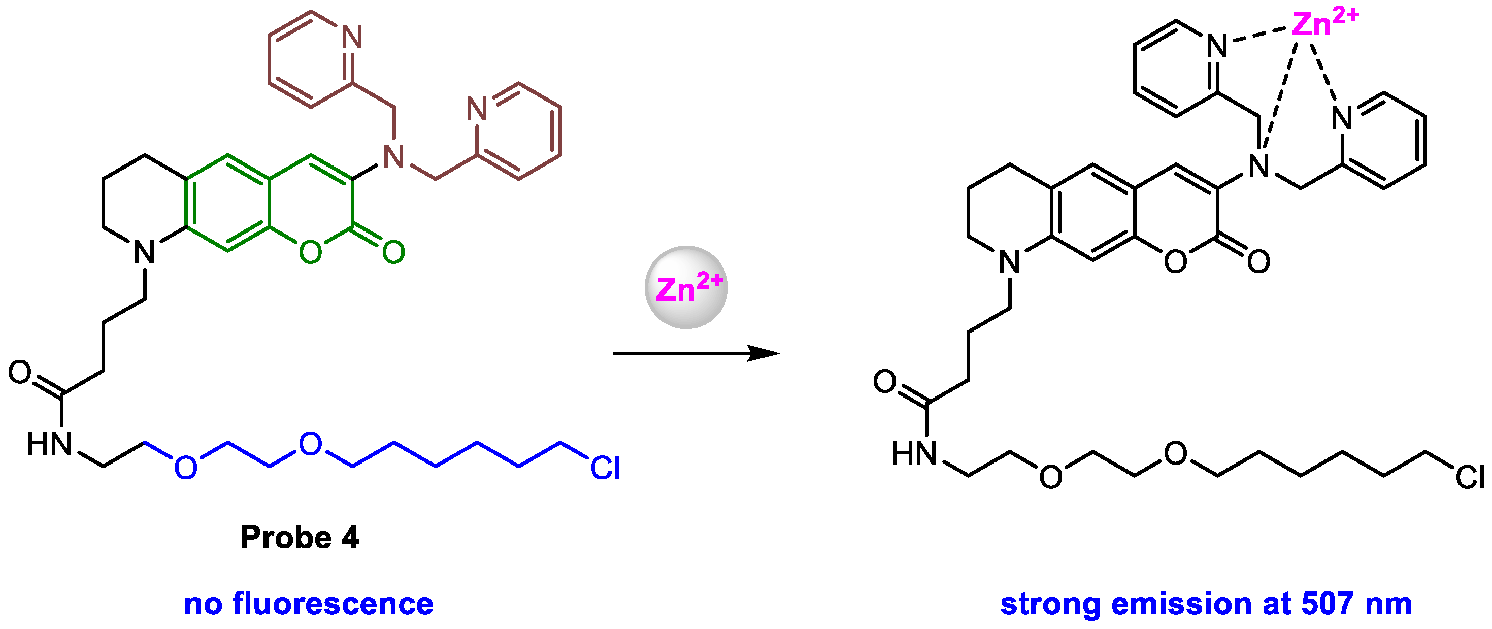Molecules 29 02542 sch005