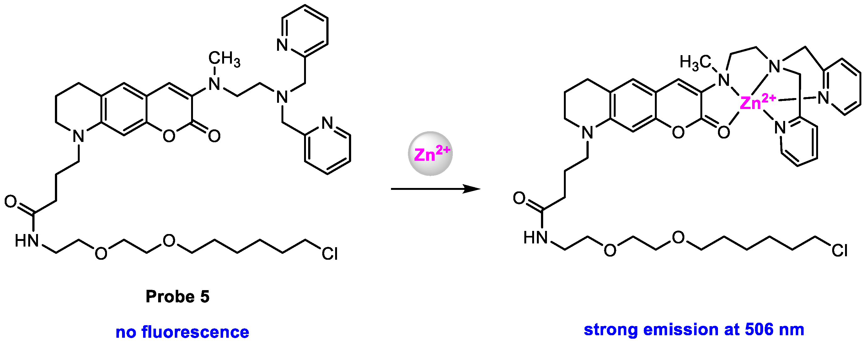 Molecules 29 02542 sch006