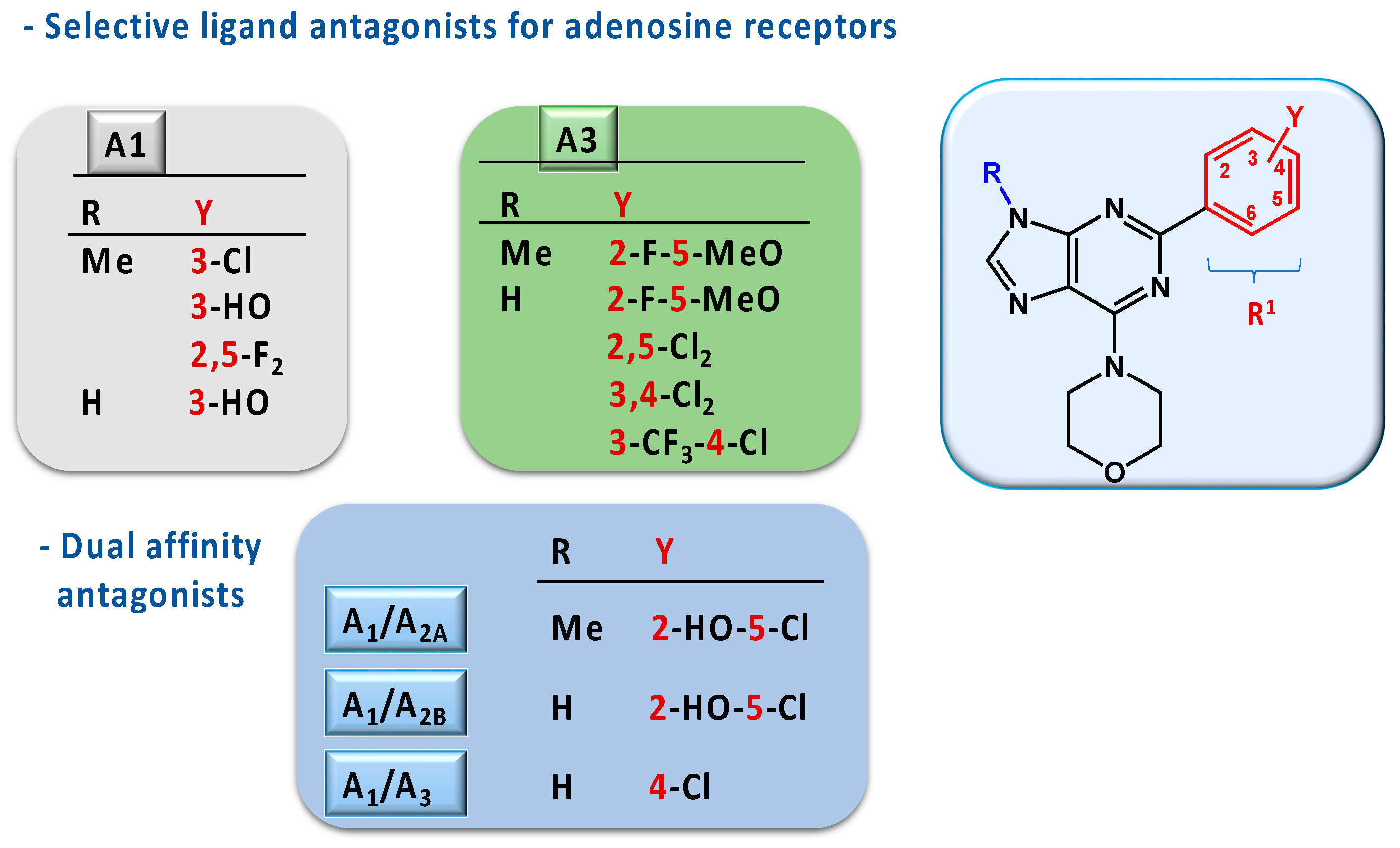 Molecules 29 02543 g002