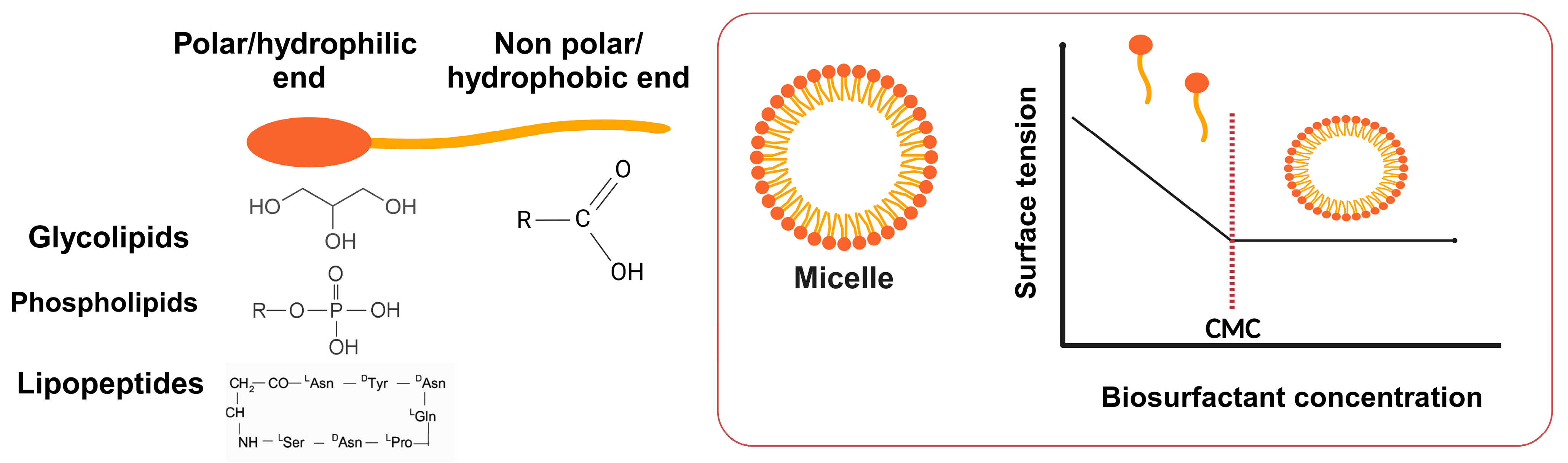 Molecules 29 02544 g004