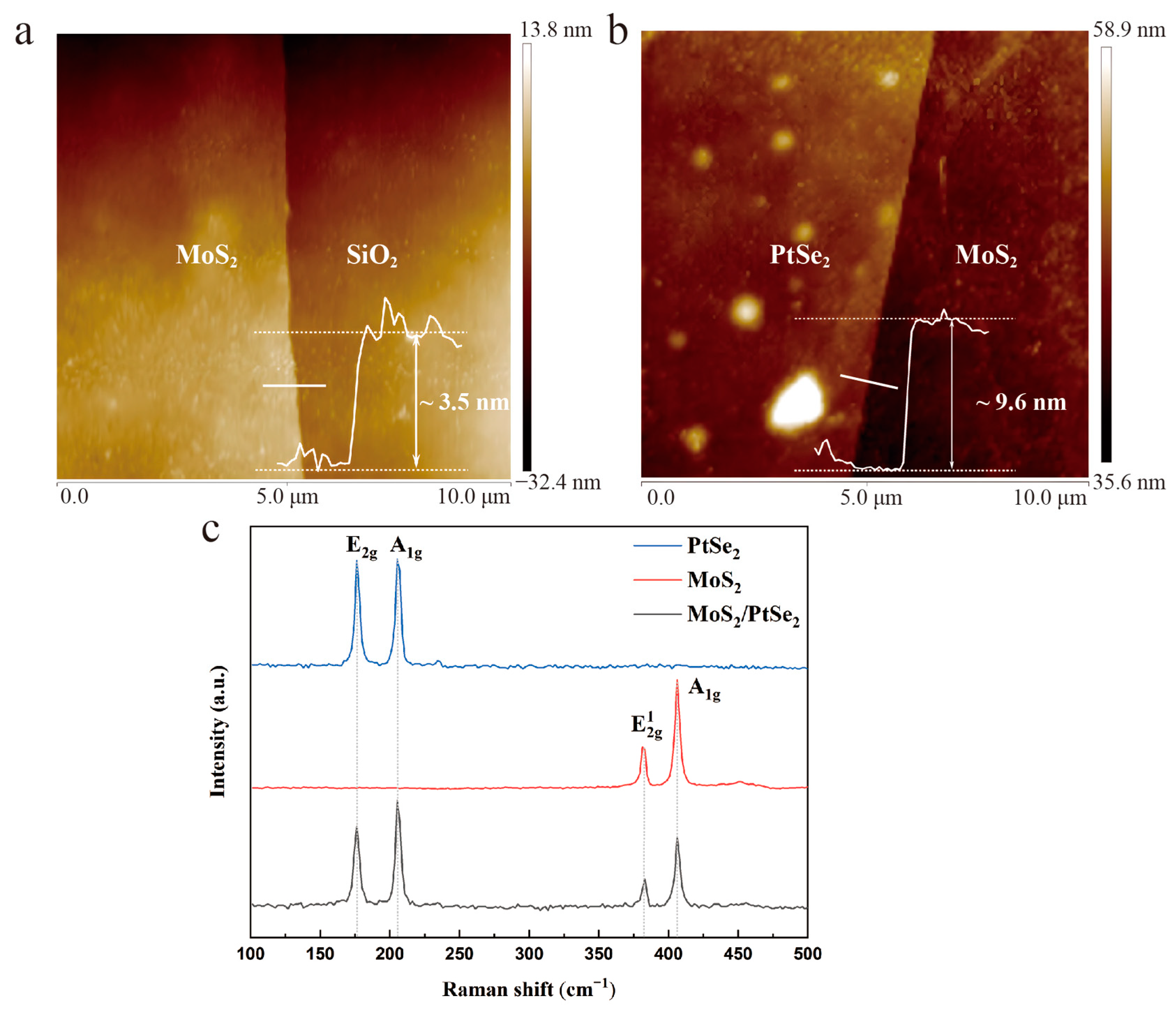 Molecules 29 02553 g002