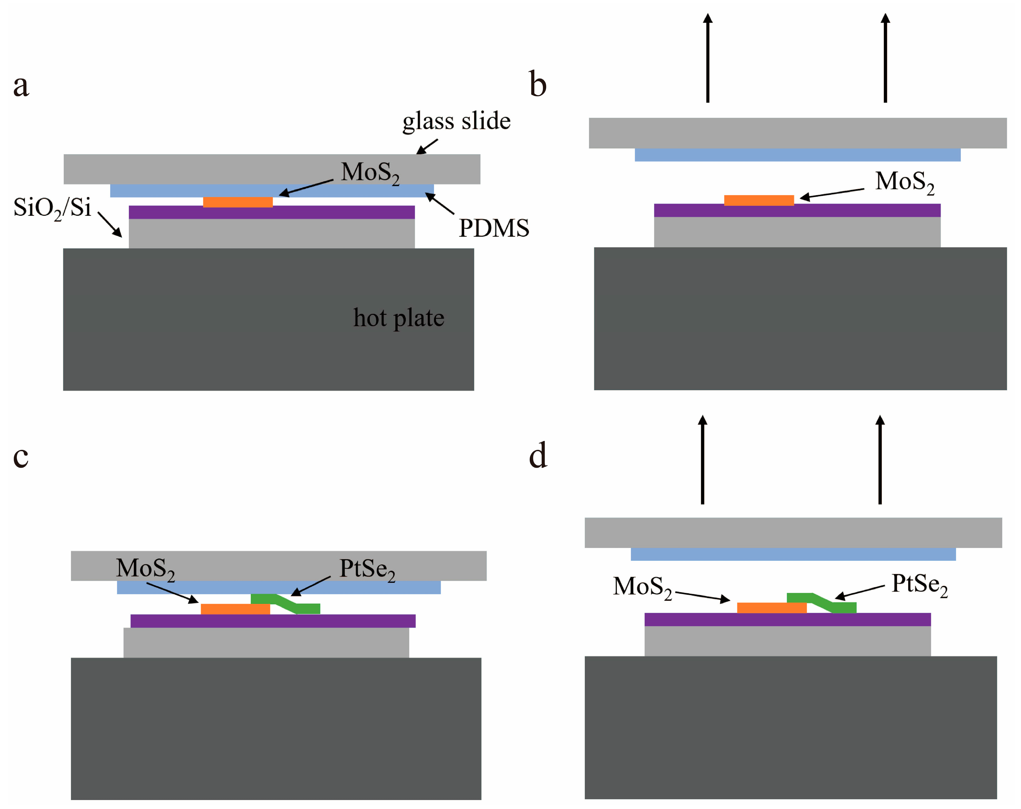 Molecules 29 02553 g006