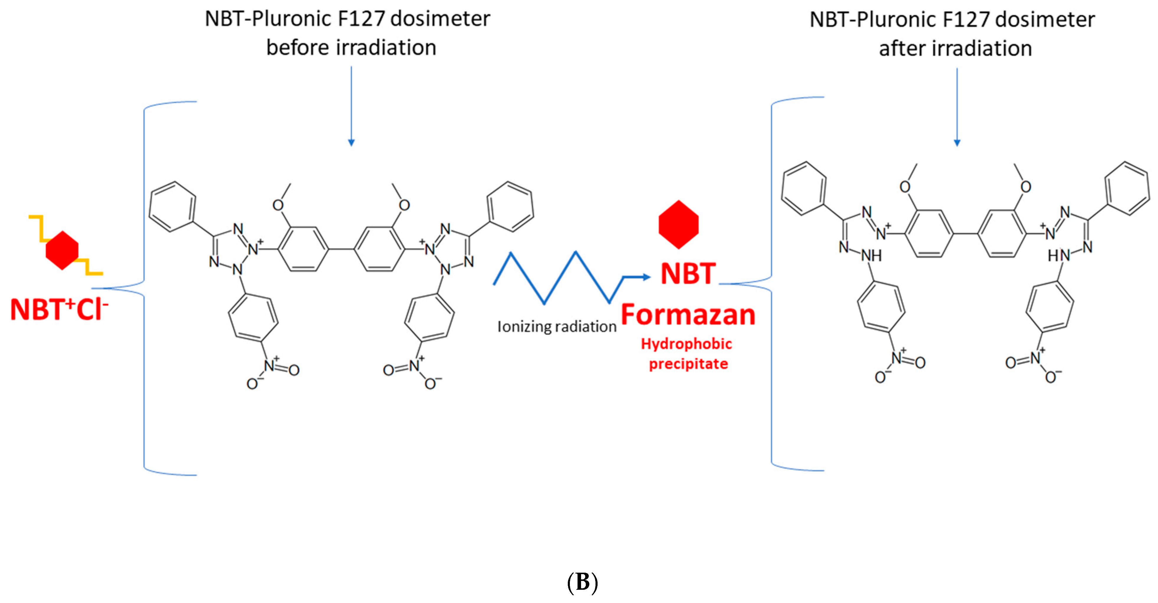 Molecules 29 02558 g001b