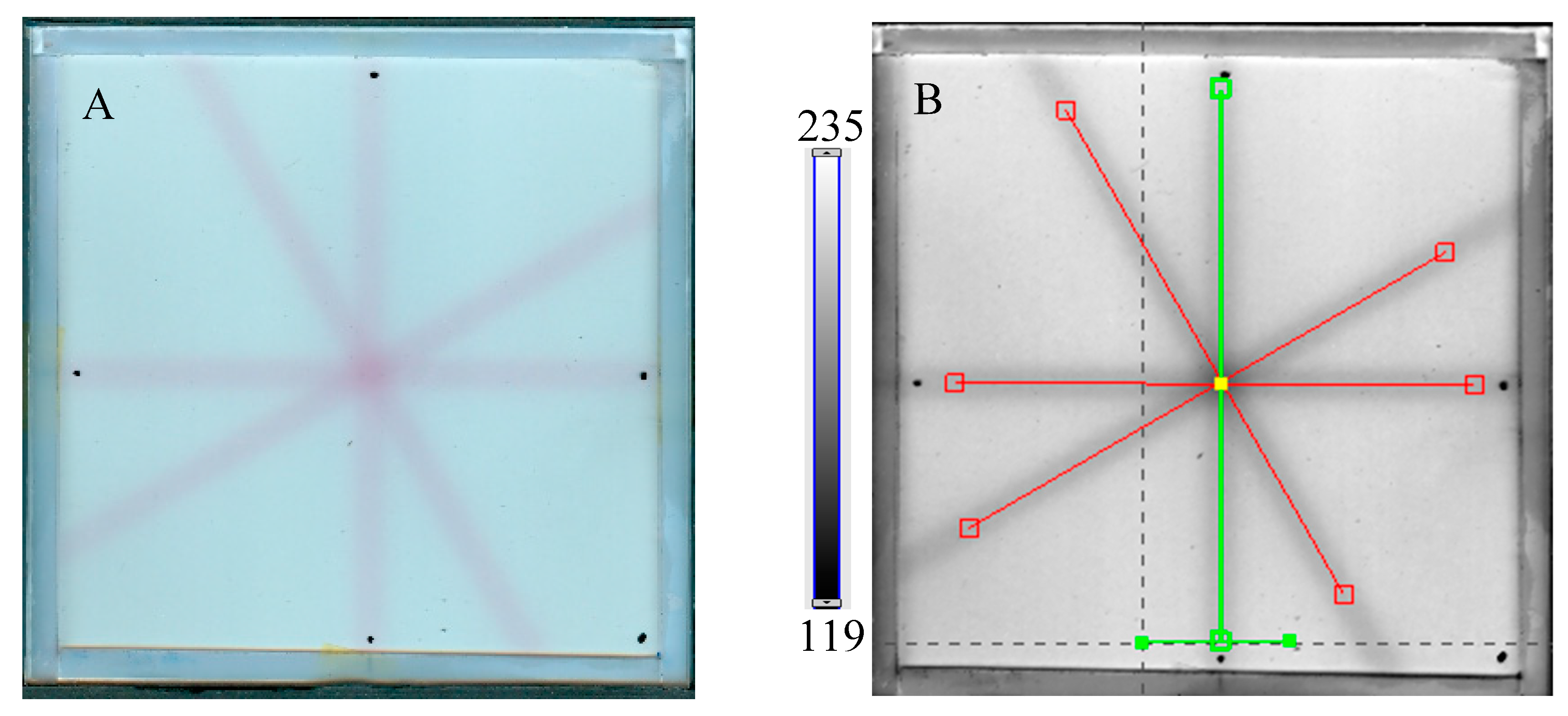 Molecules 29 02558 g006a