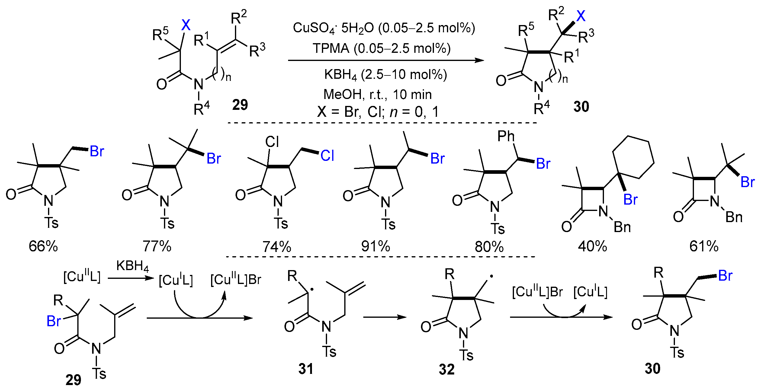 Molecules 29 02559 sch011