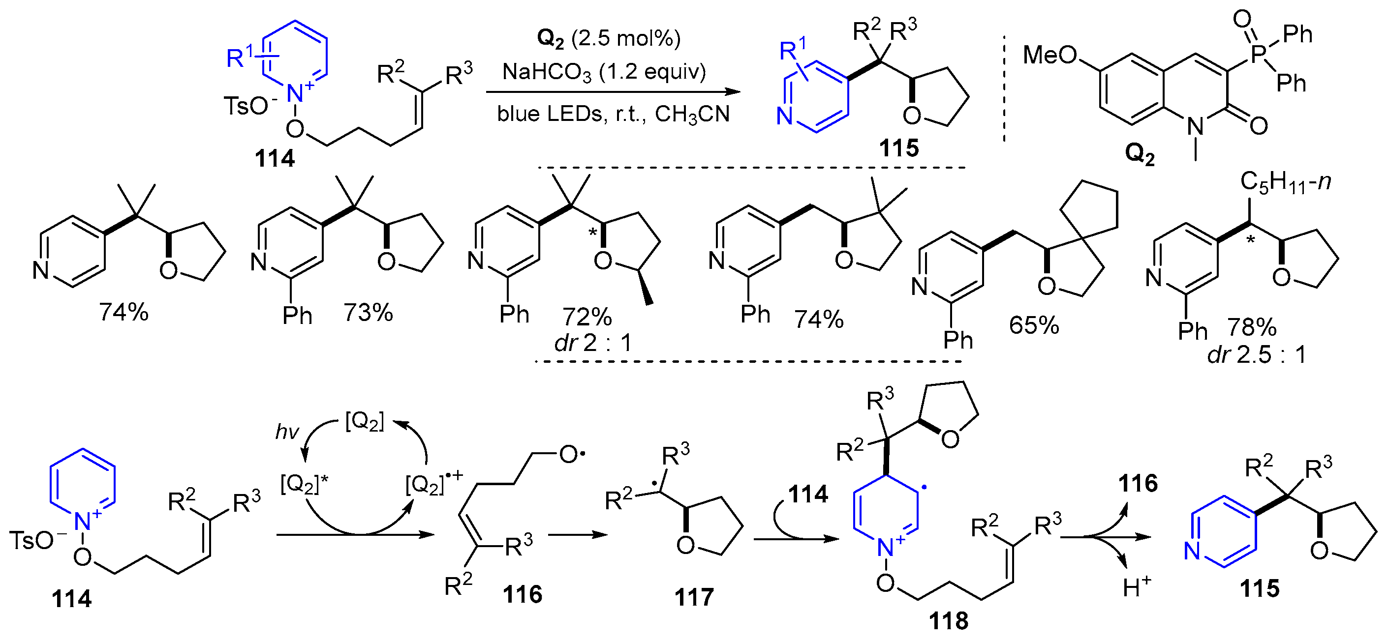 Molecules 29 02559 sch029