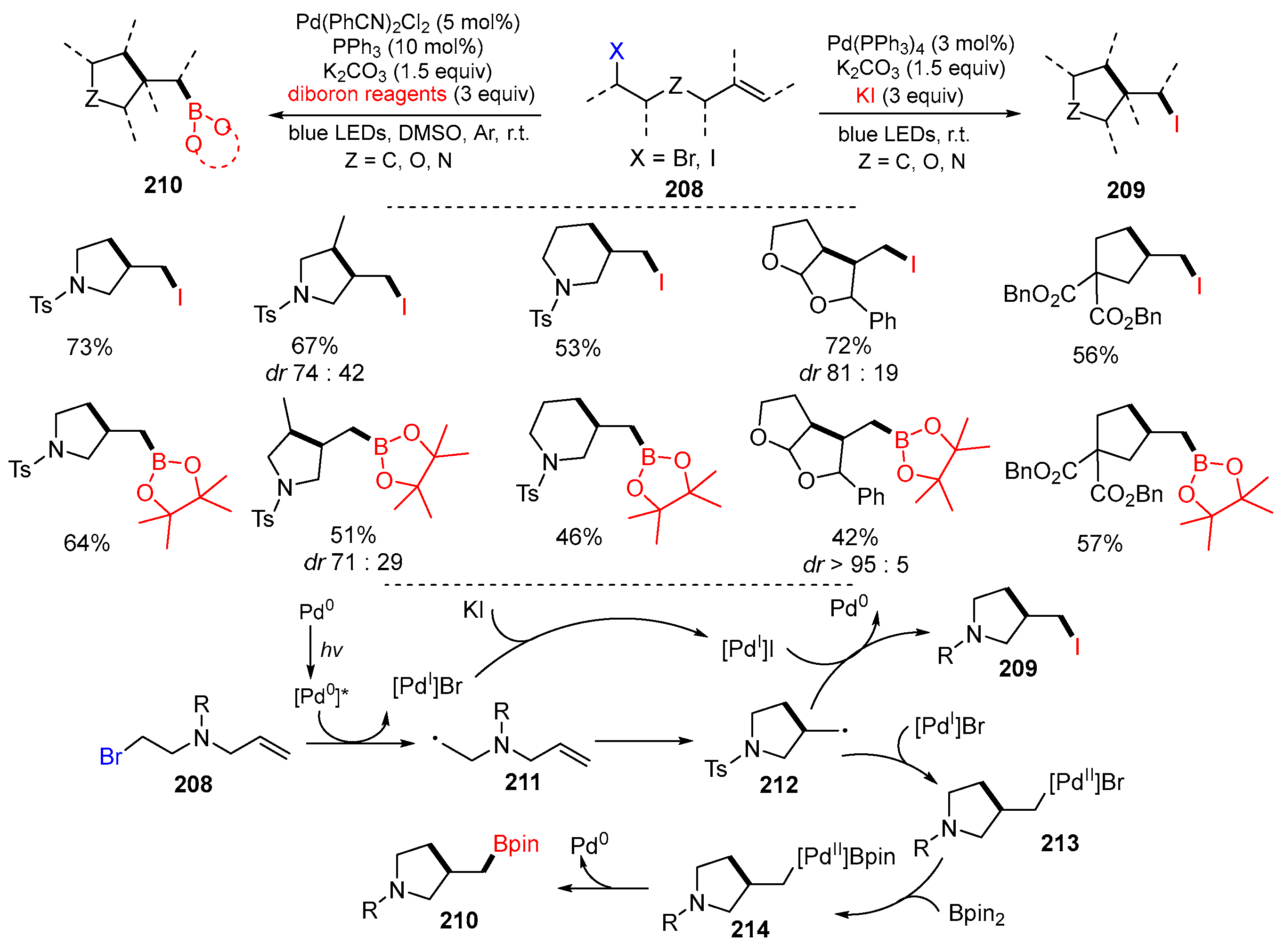Molecules 29 02559 sch046