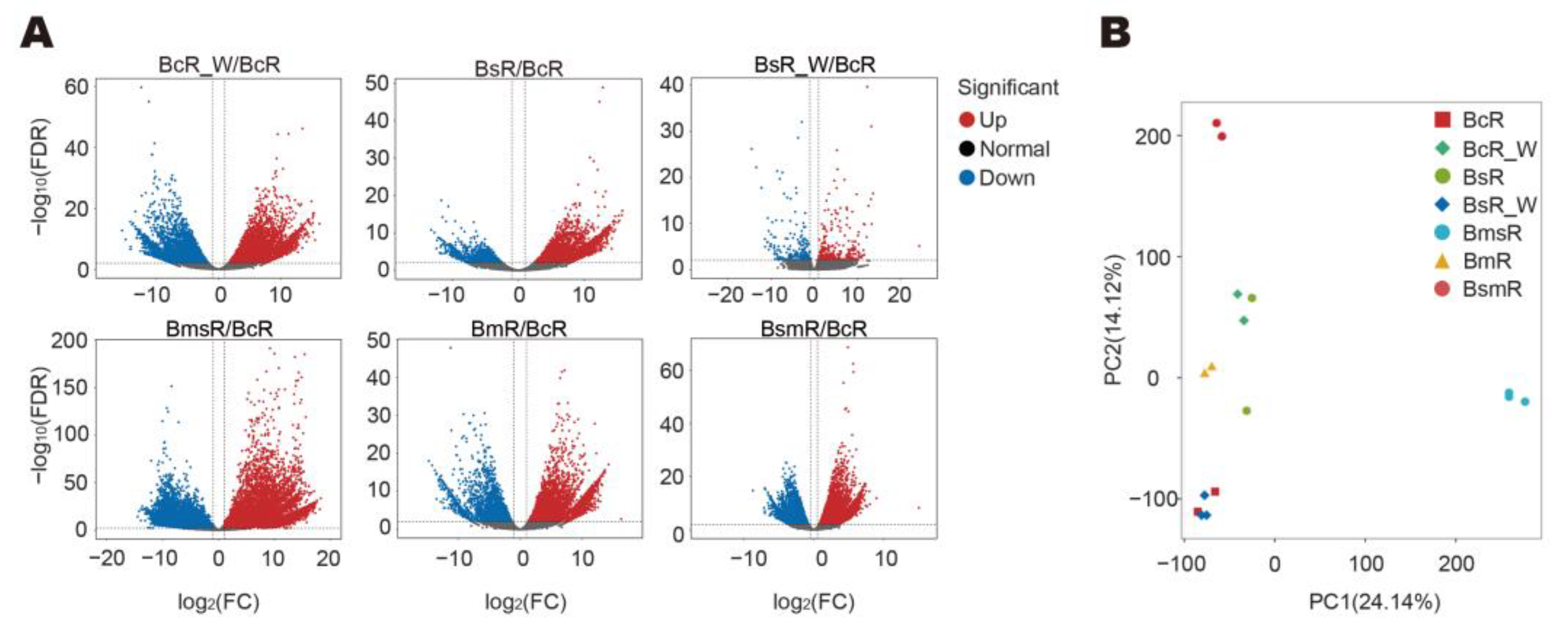 Molecules 29 02561 g005