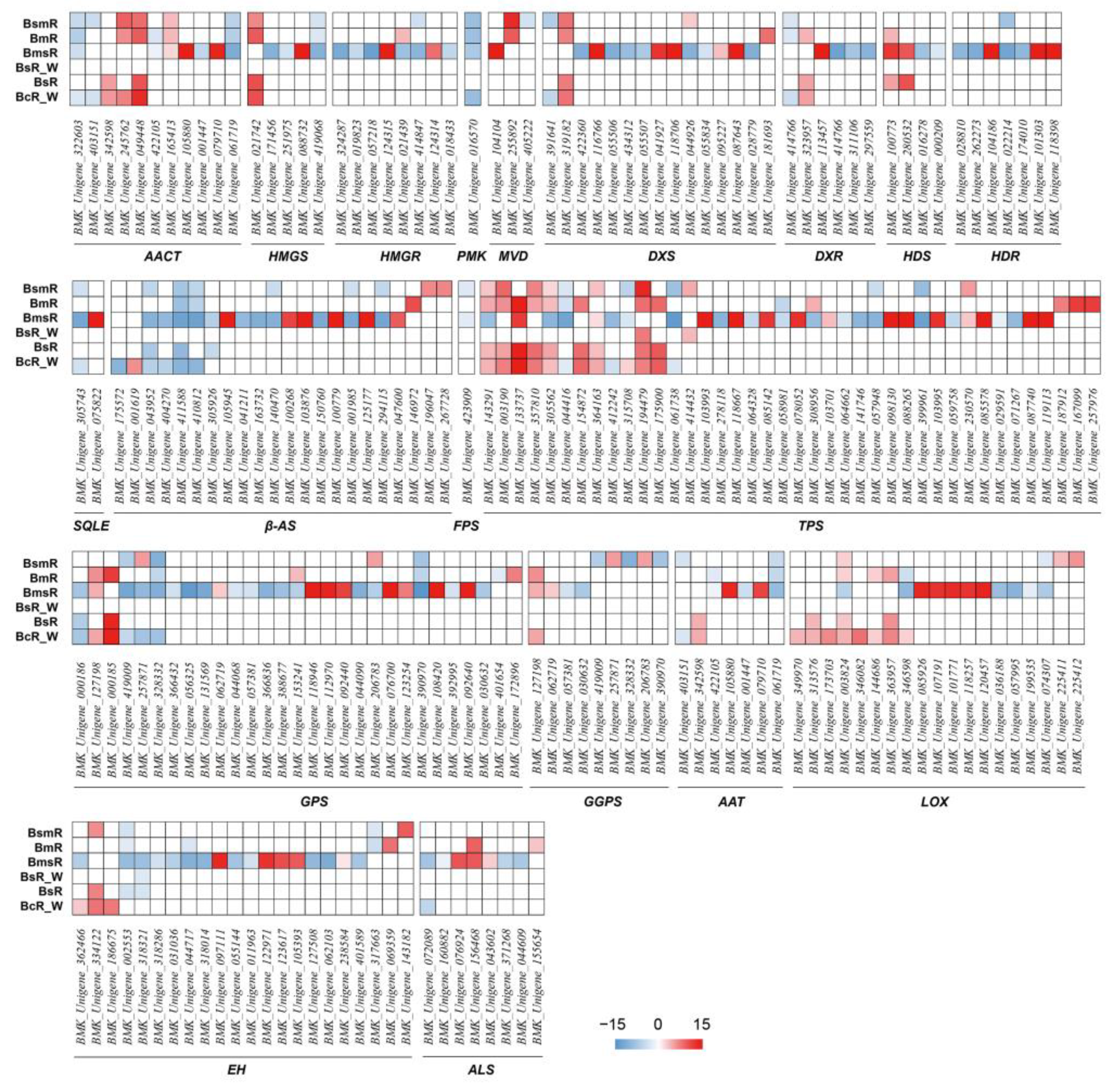 Molecules 29 02561 g006