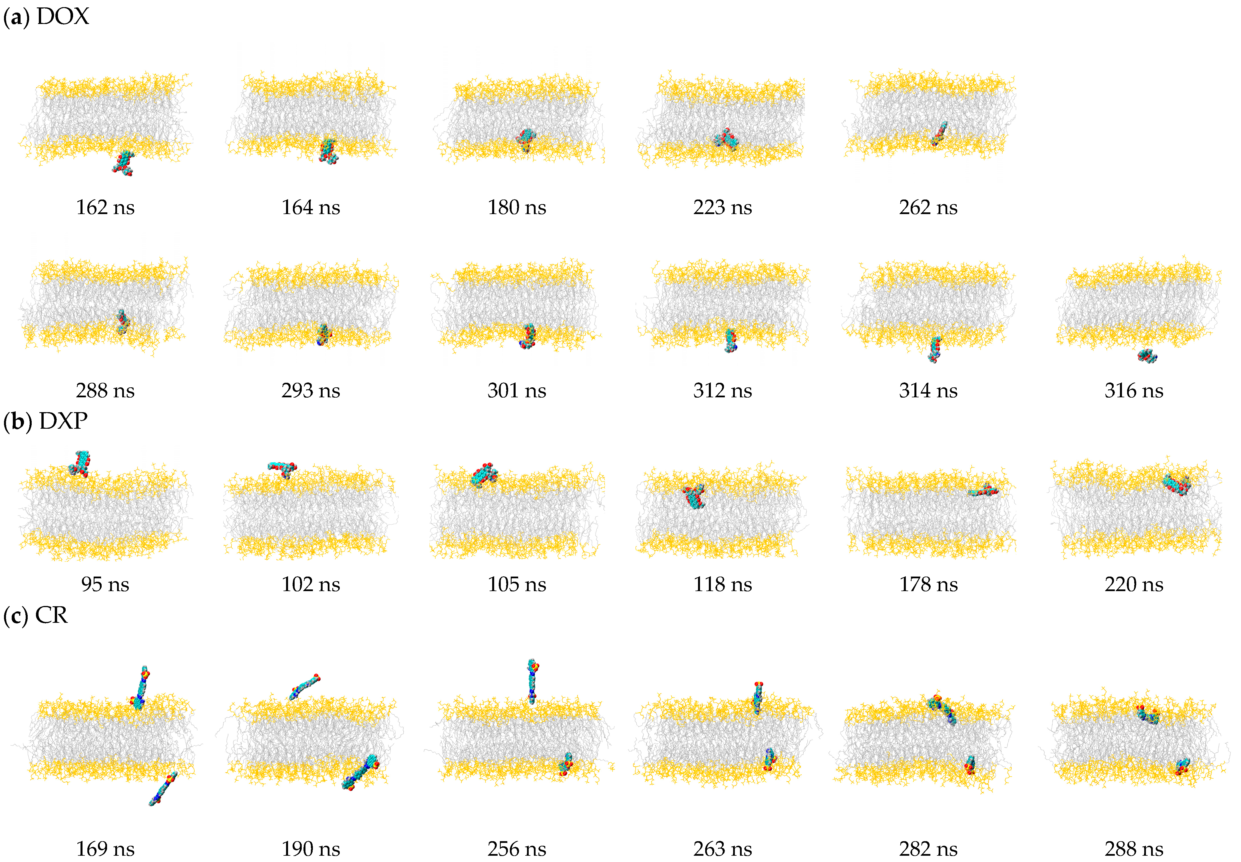 Molecules 29 02567 g003