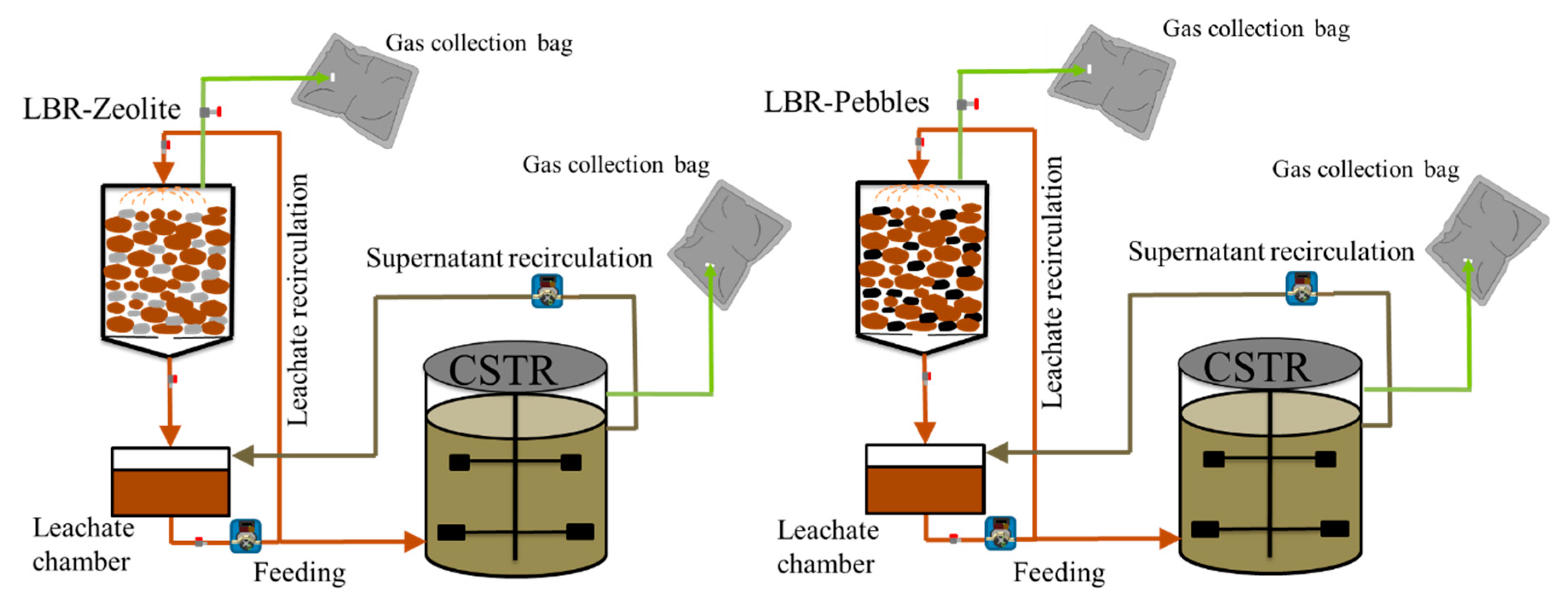 Molecules 29 02568 g010