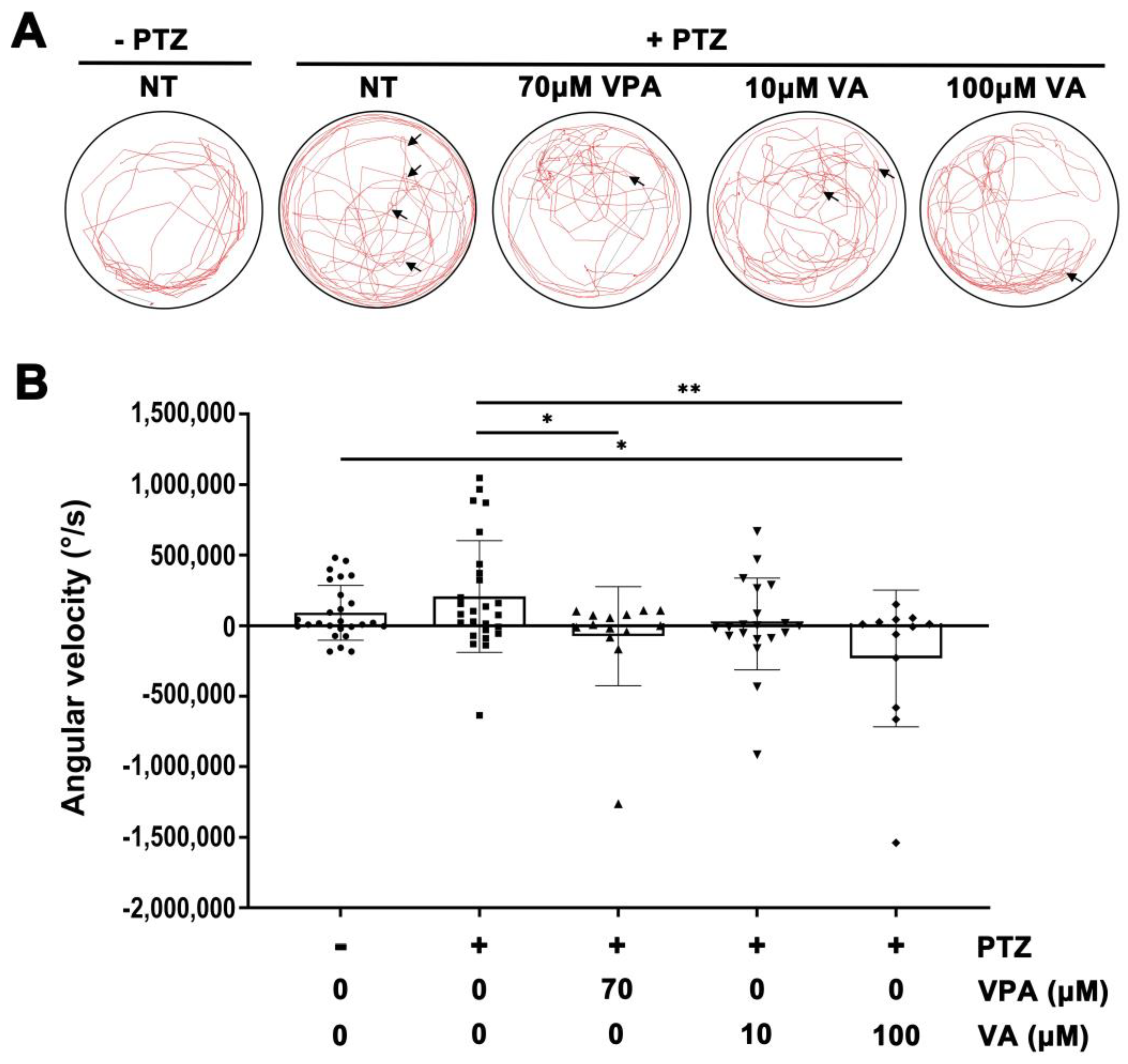 Molecules 29 02572 g003