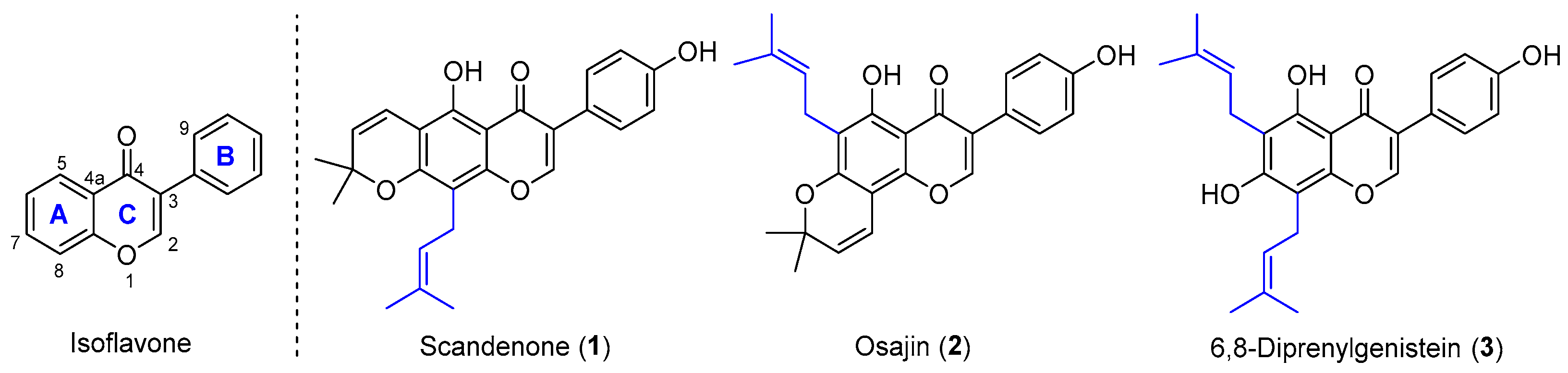 Molecules 29 02574 g001