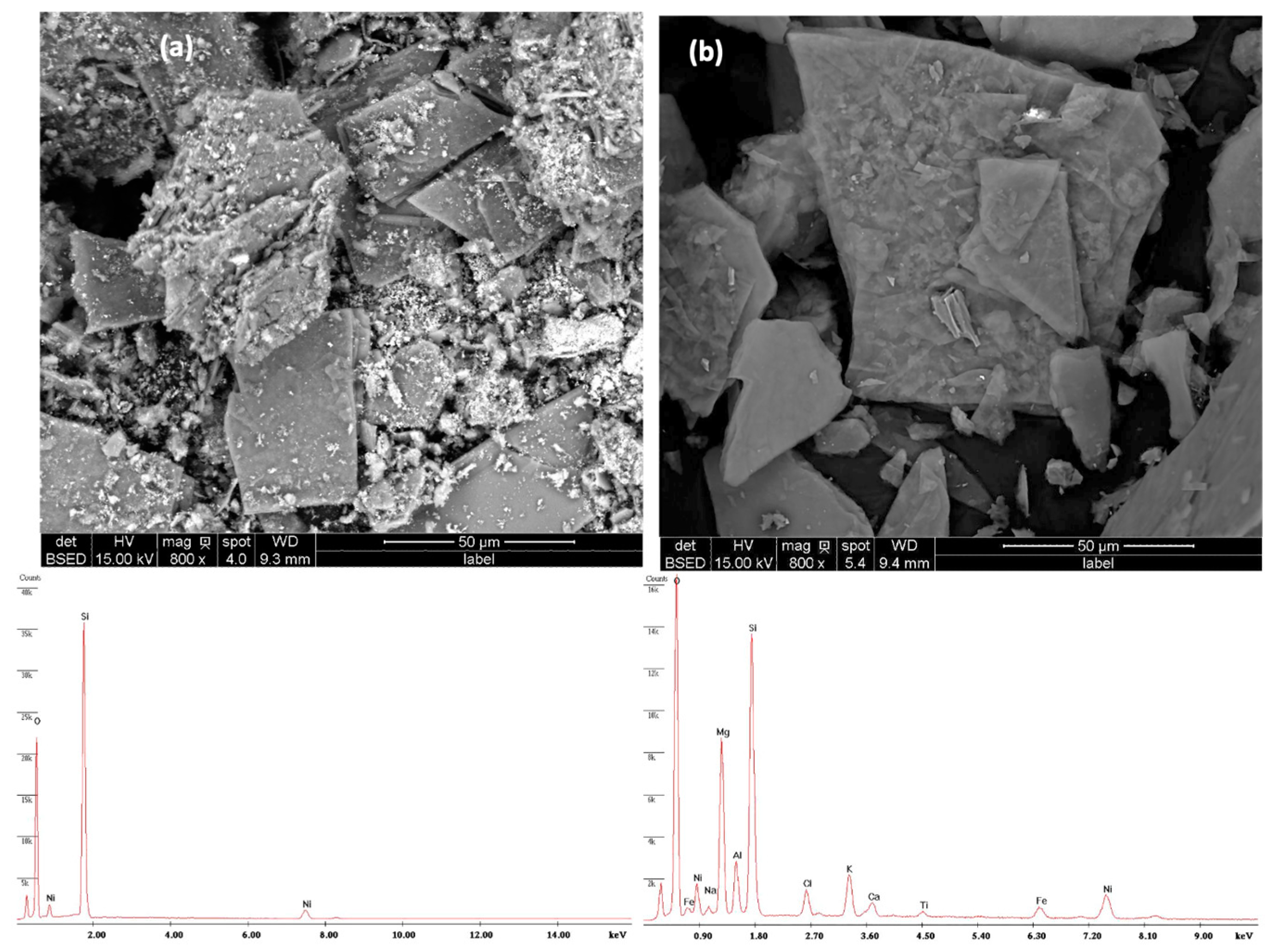 Molecules 29 02575 g002