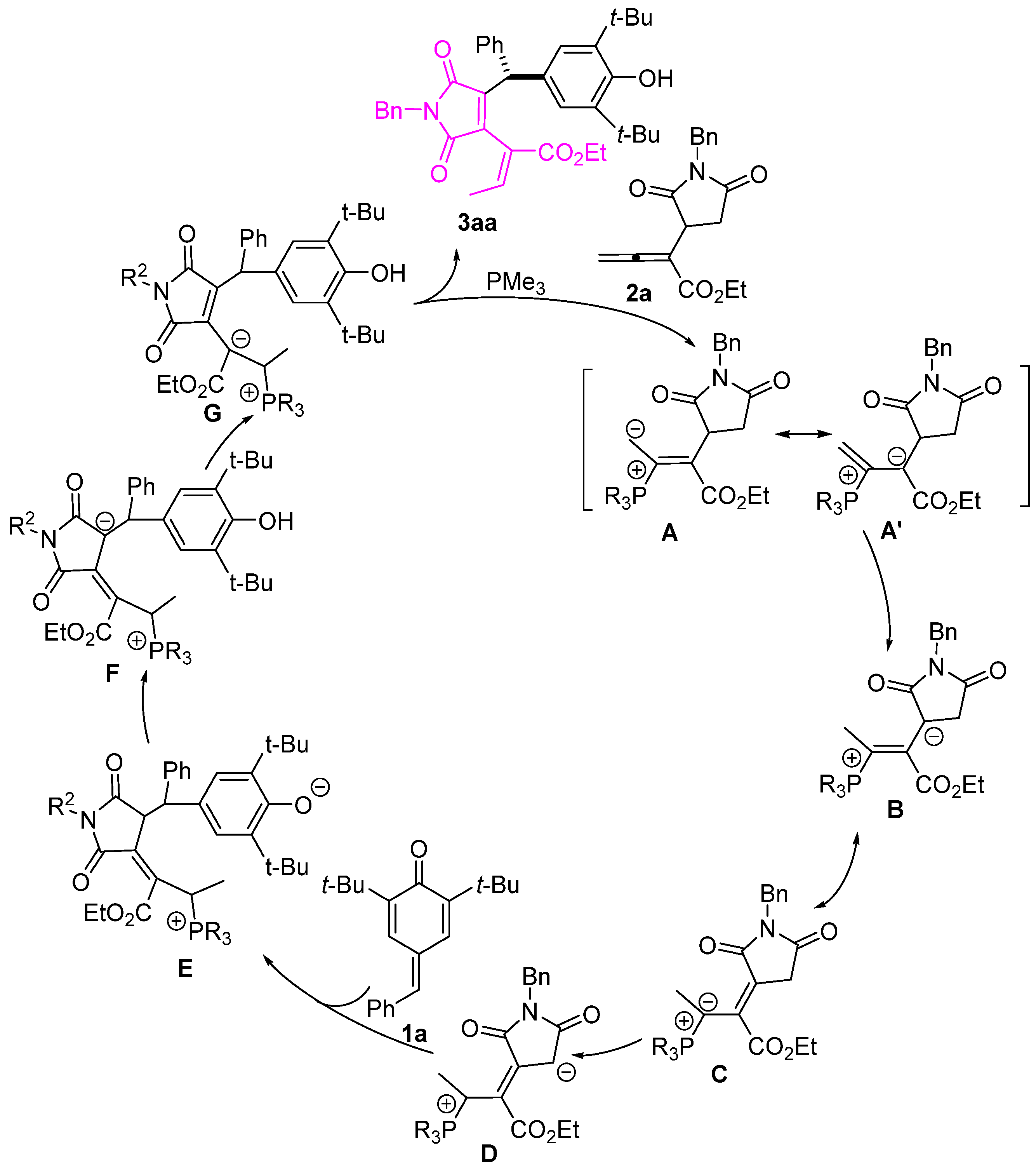 Molecules 29 02593 sch005
