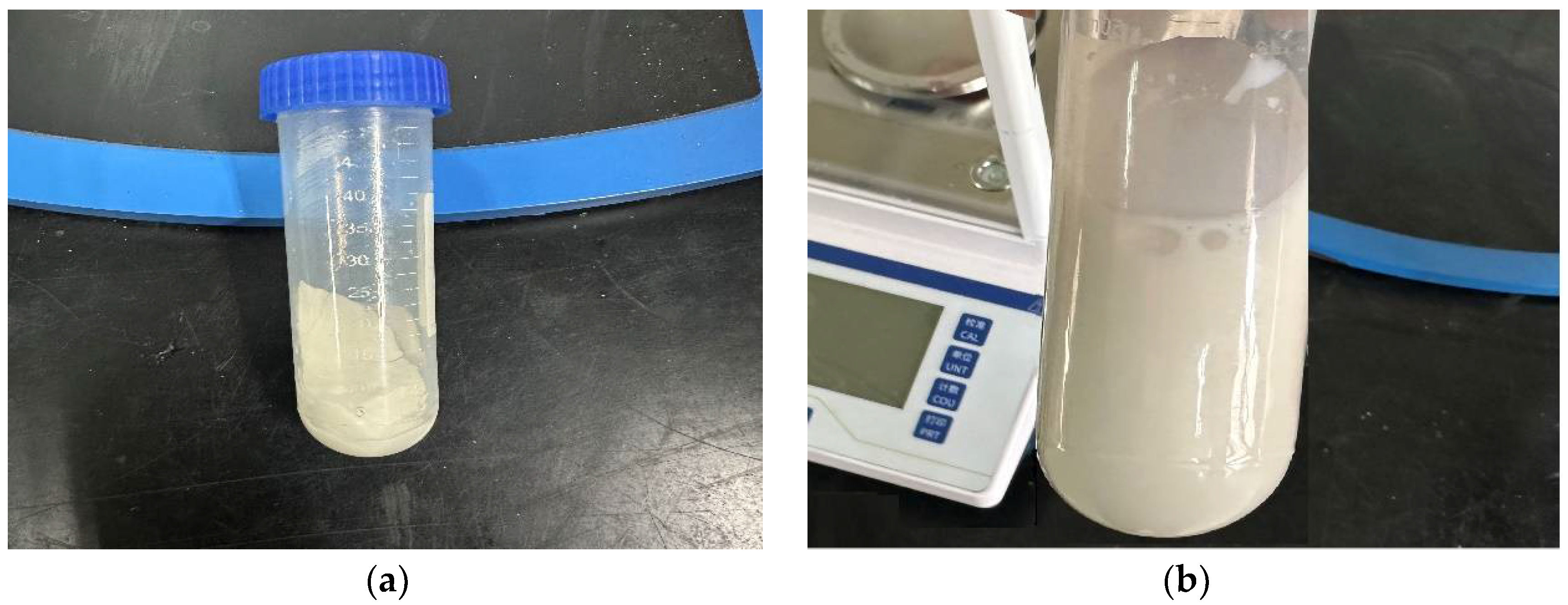 Molecules 29 02596 g006