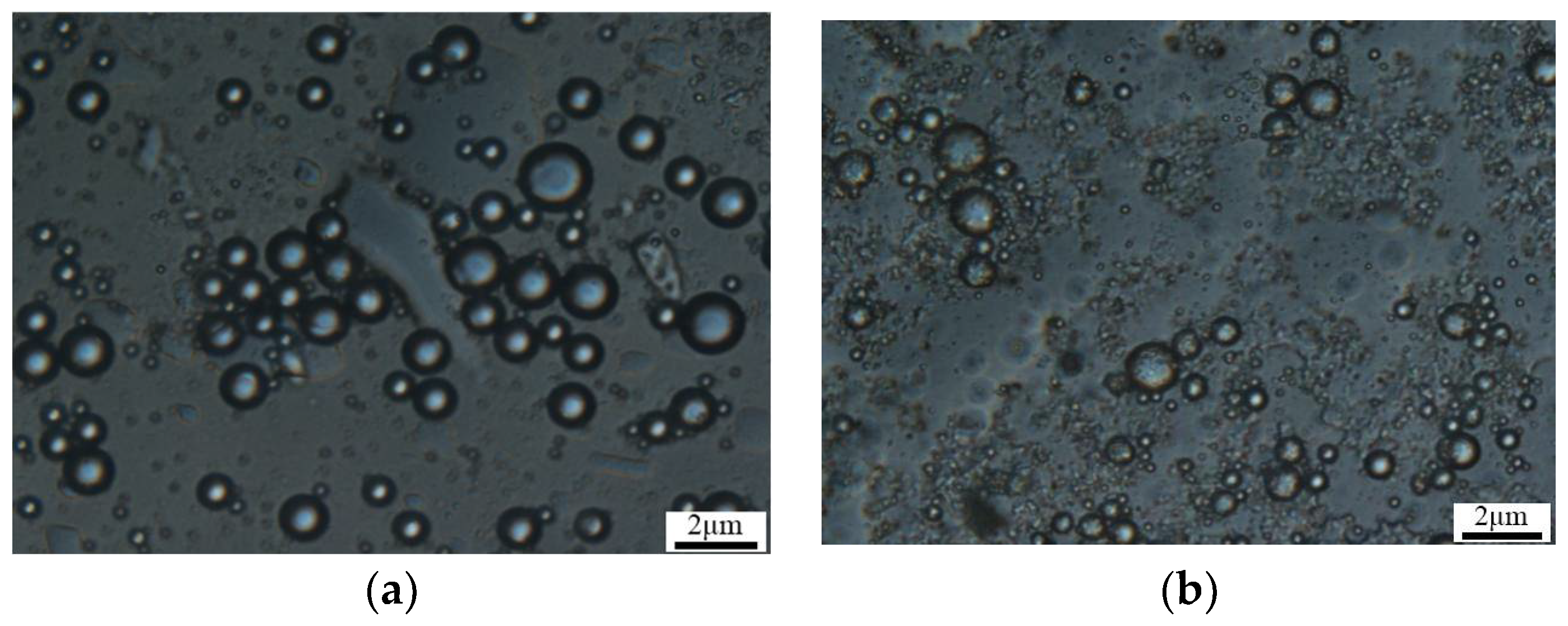 Molecules 29 02596 g007