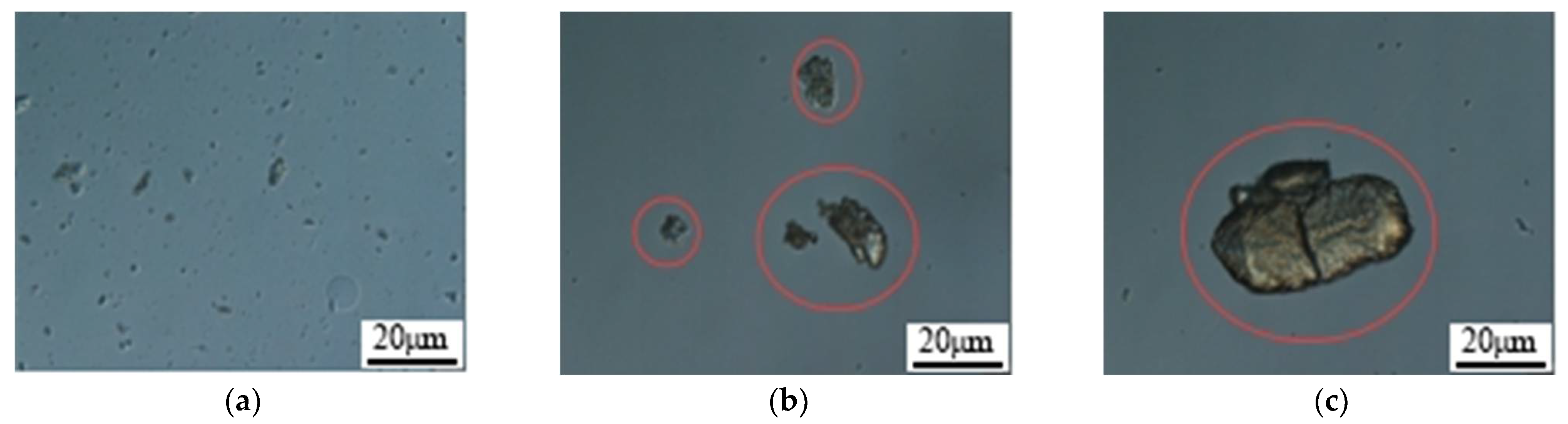 Molecules 29 02596 g009