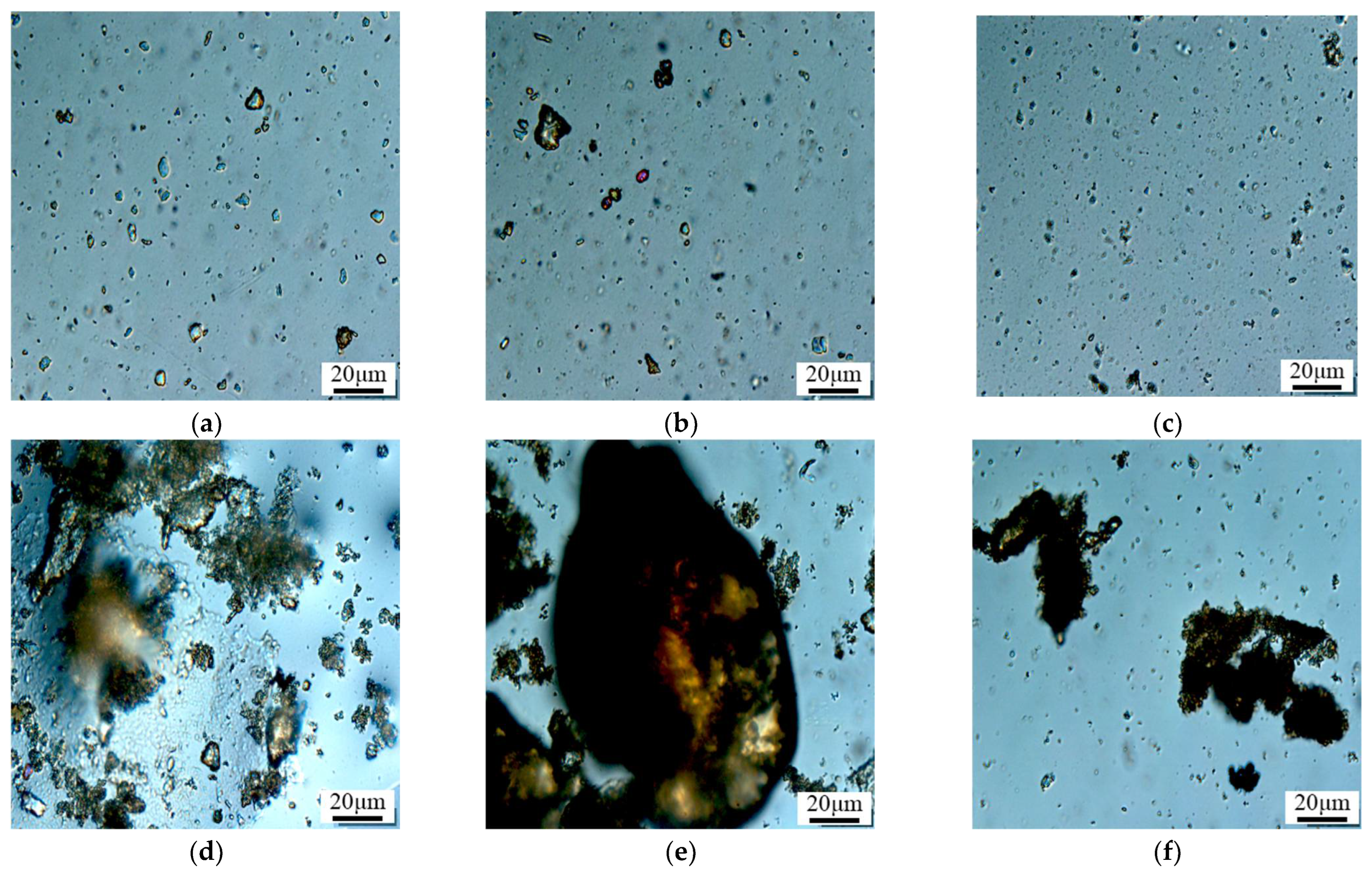 Molecules 29 02596 g014