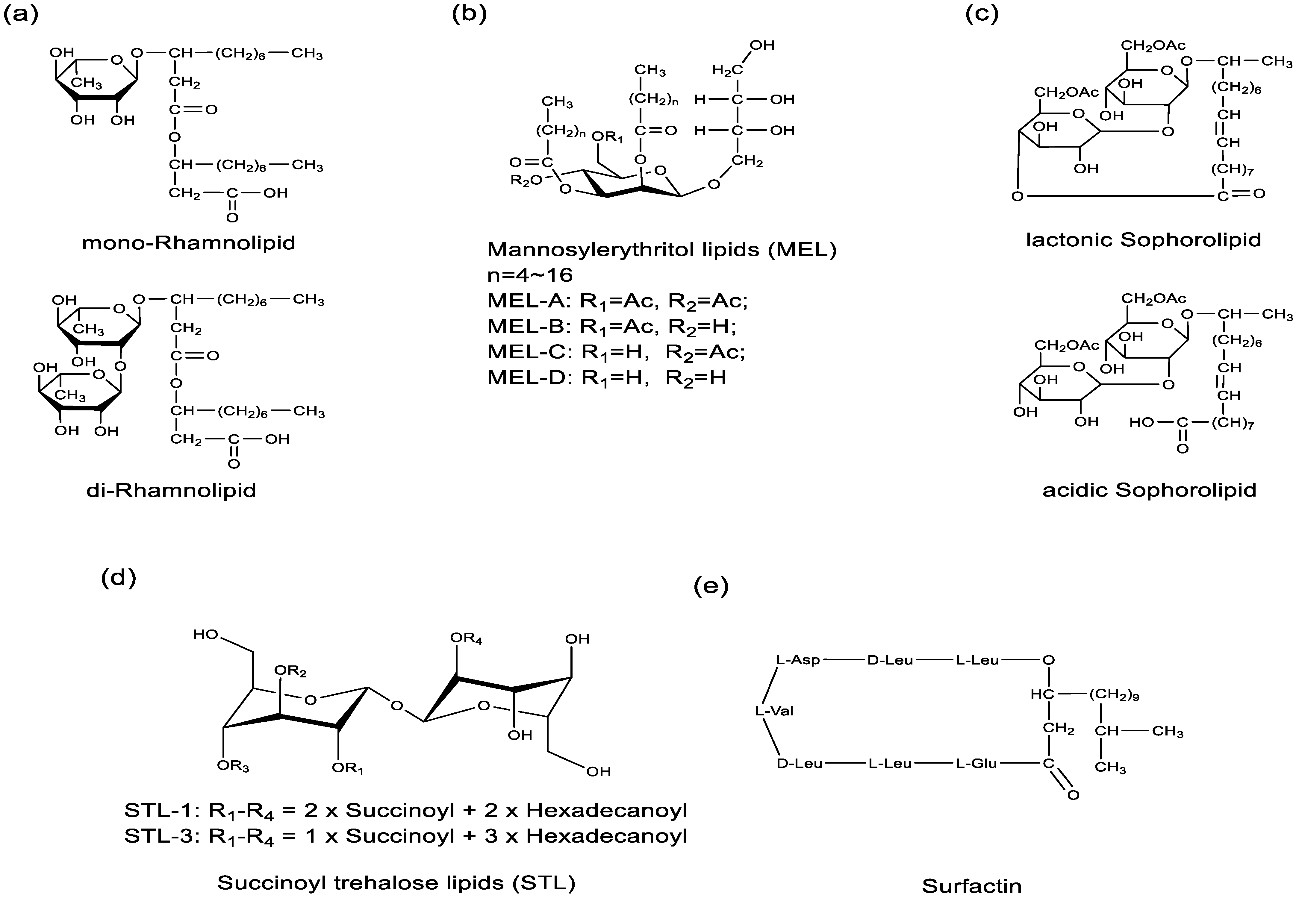 Molecules 29 02606 g001