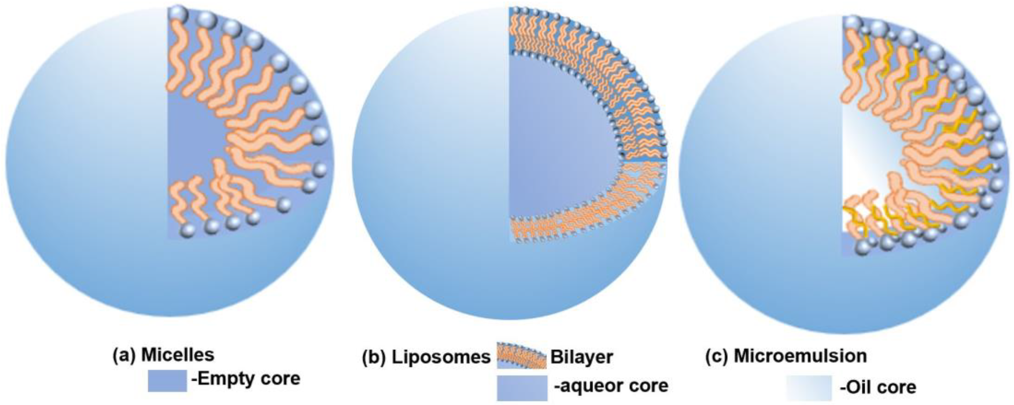 Molecules 29 02606 g002