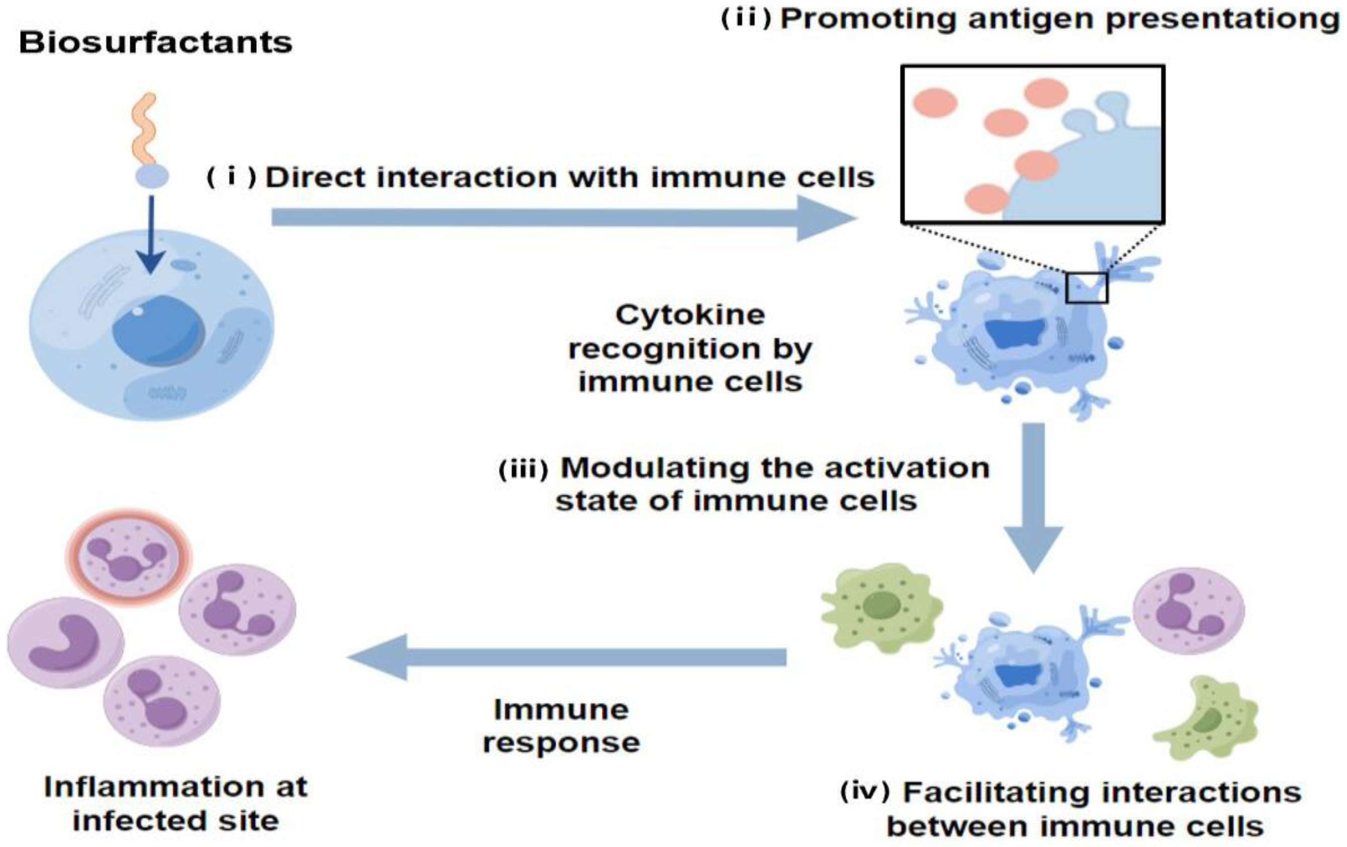 Molecules 29 02606 g006