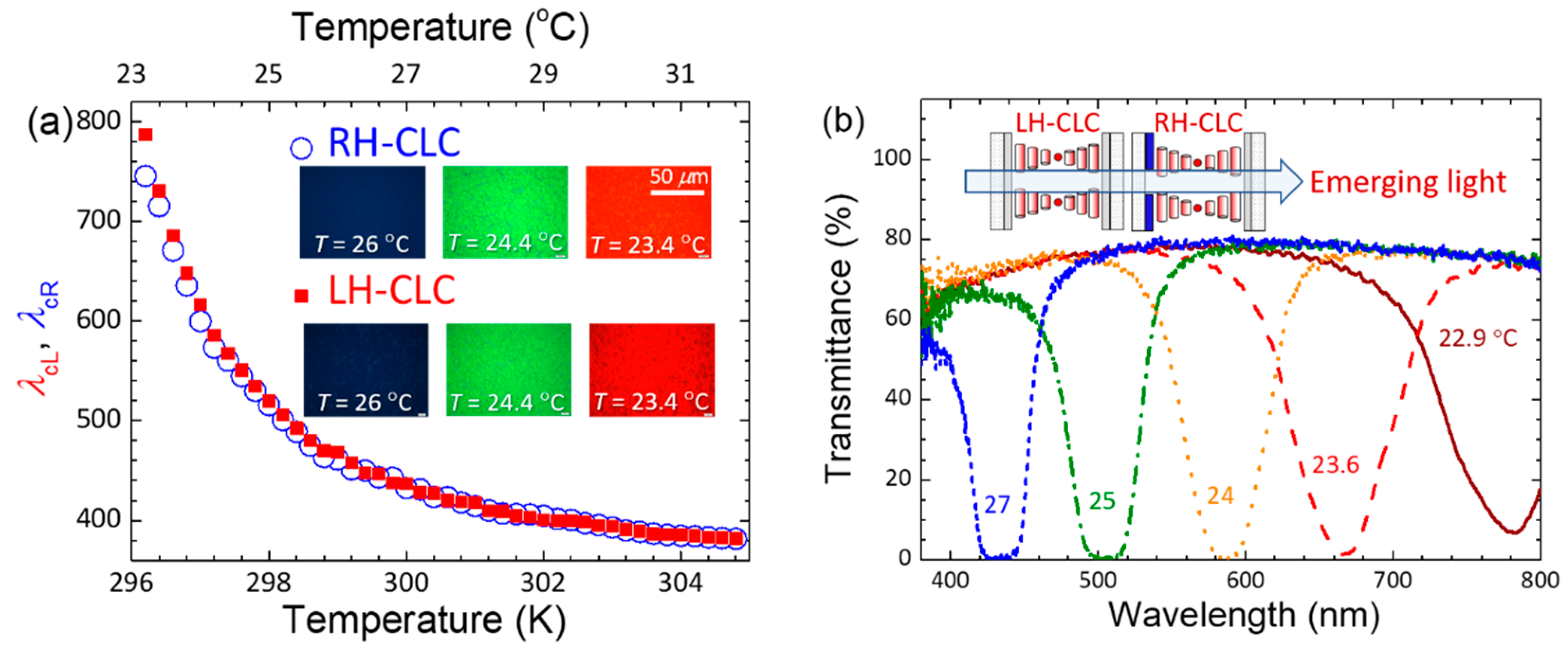 Molecules 29 02607 g001