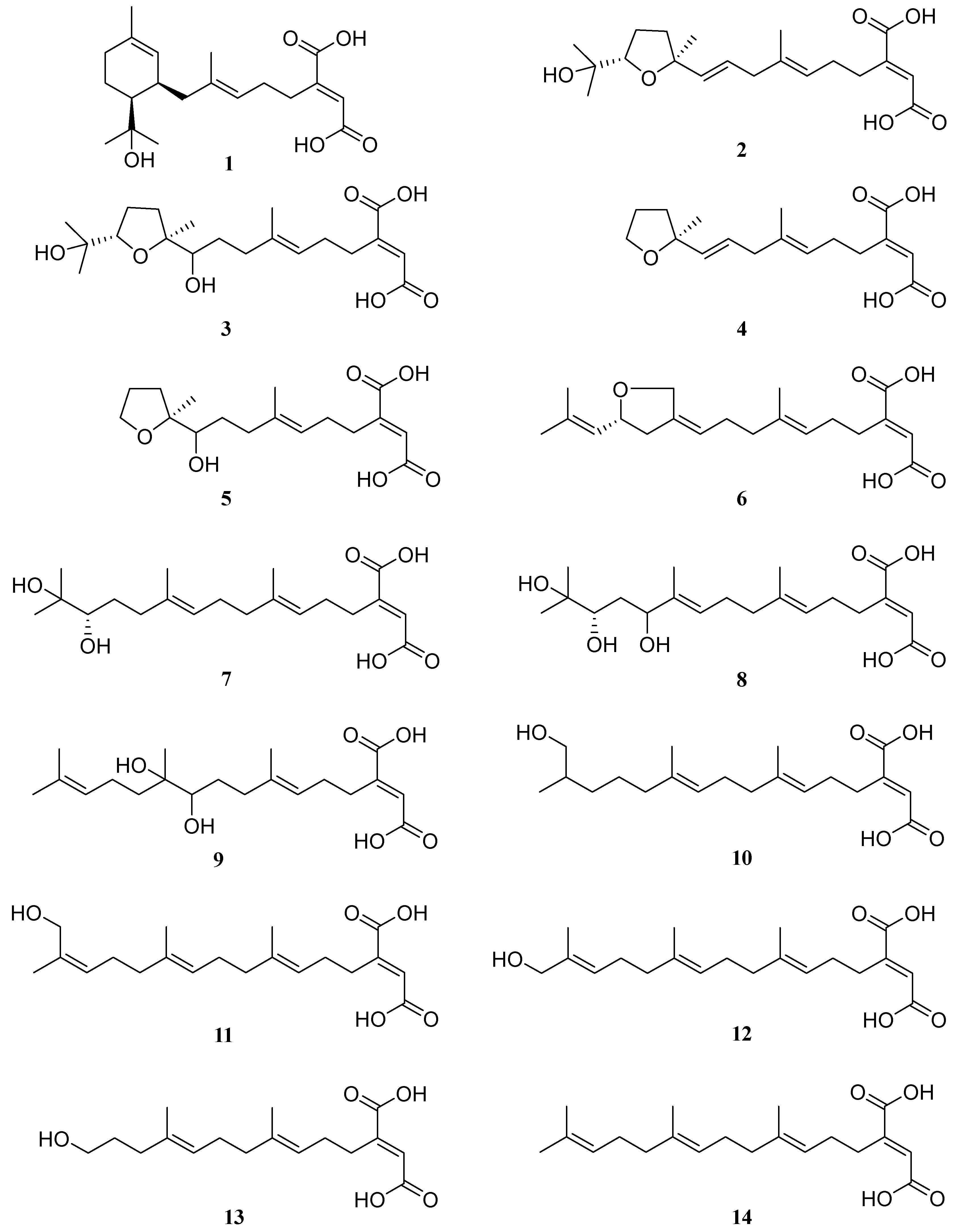 Molecules 29 02608 g001