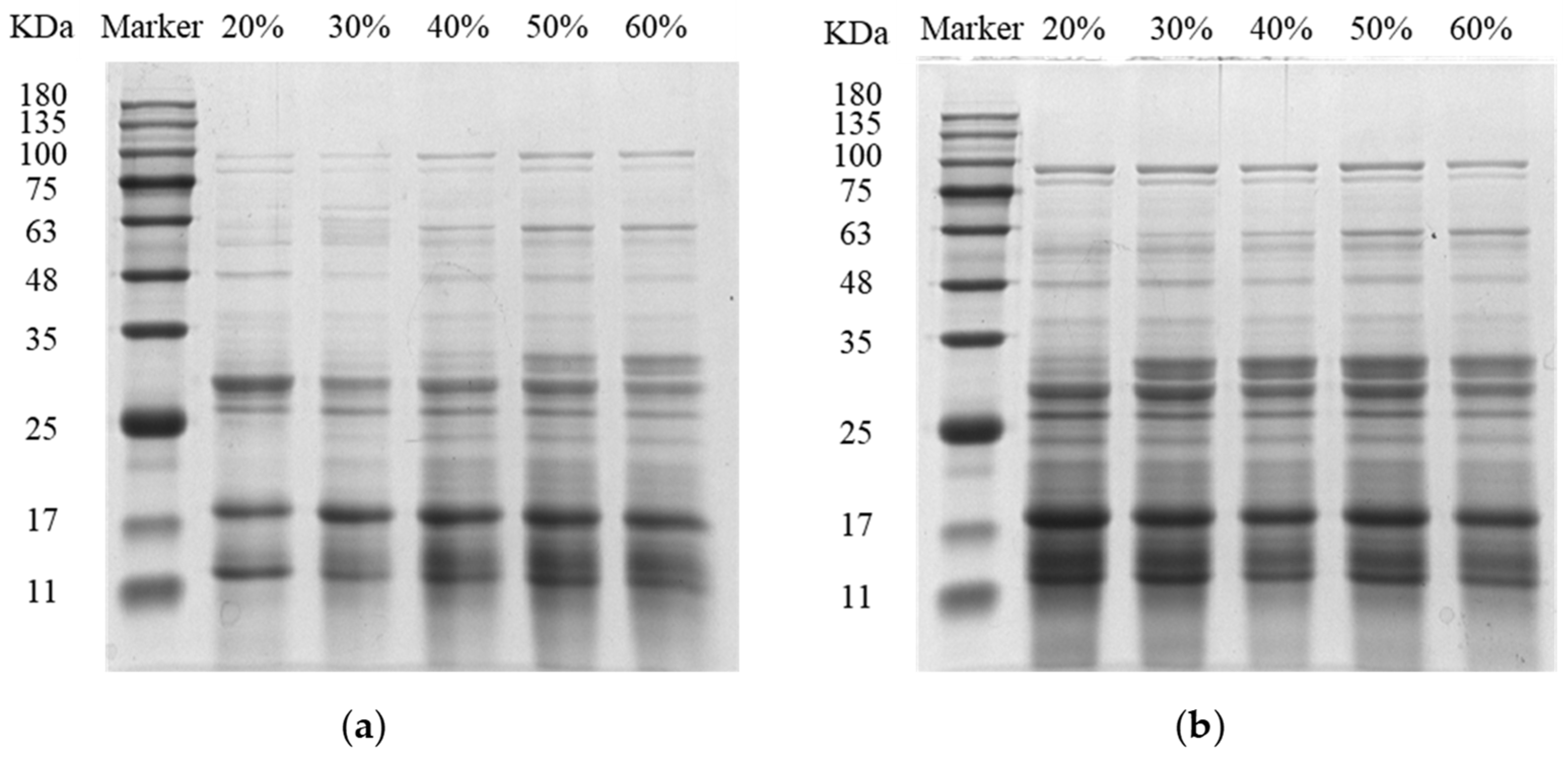 Molecules 29 02613 g001