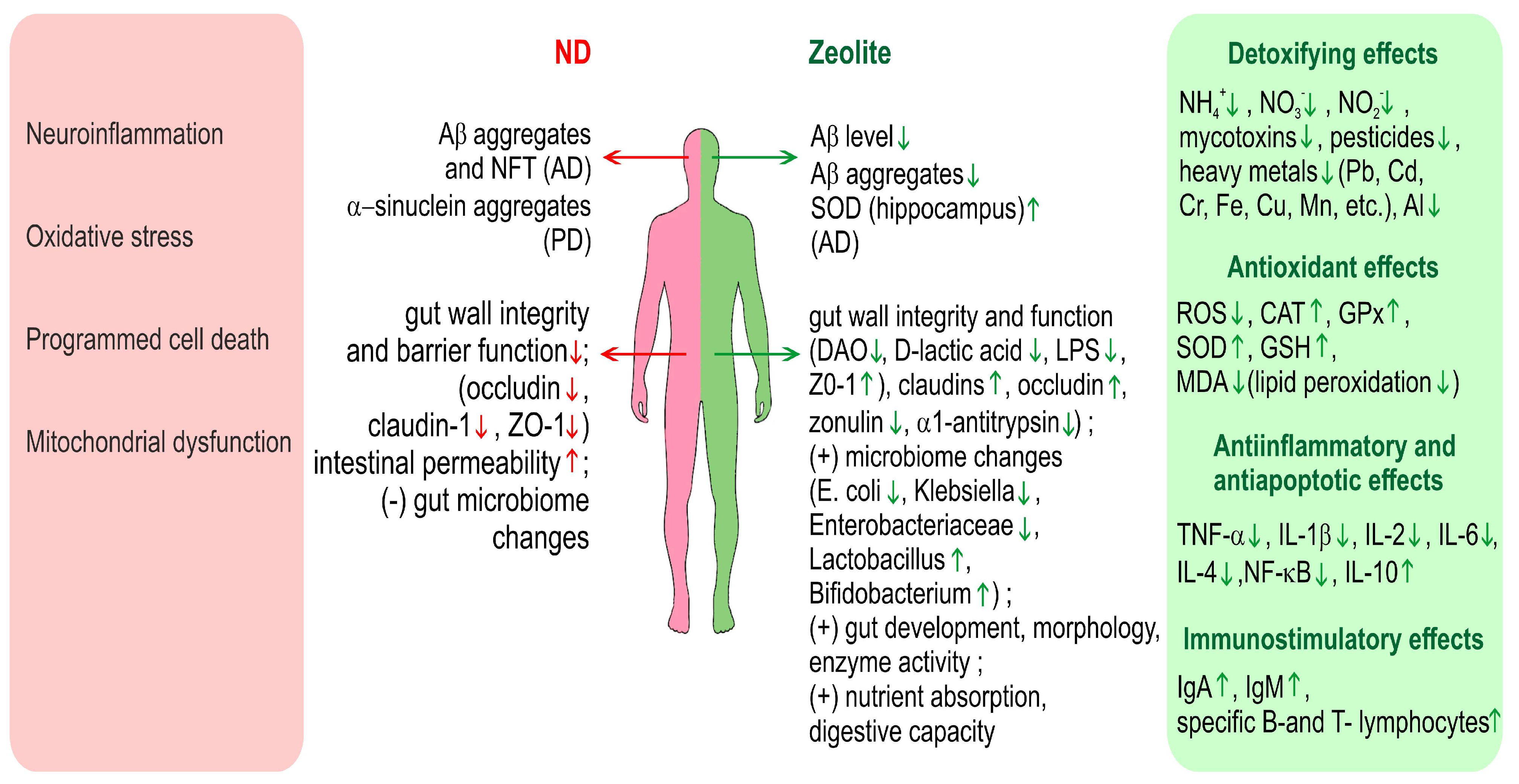 Molecules 29 02614 g002