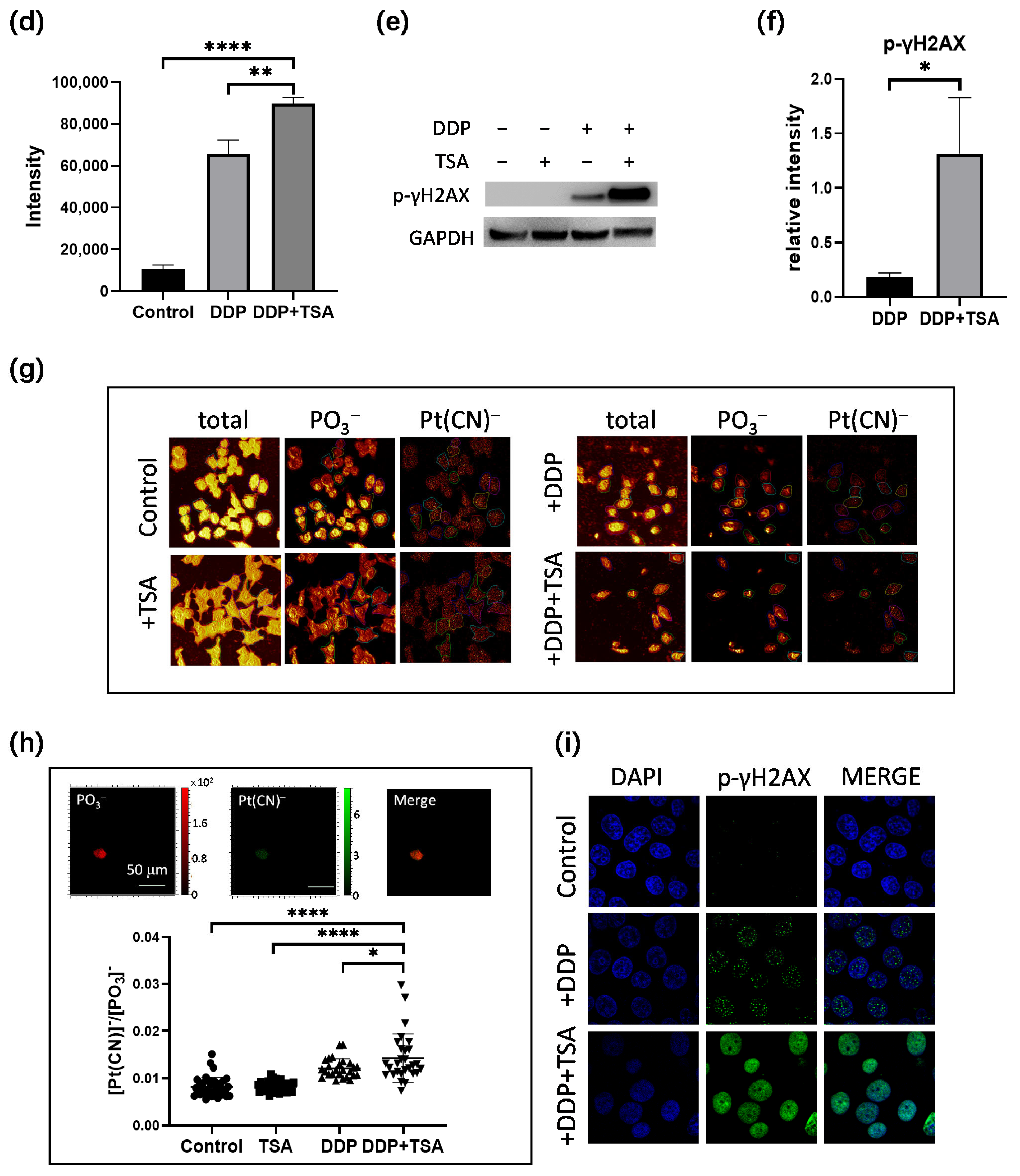 Molecules 29 02623 g002b