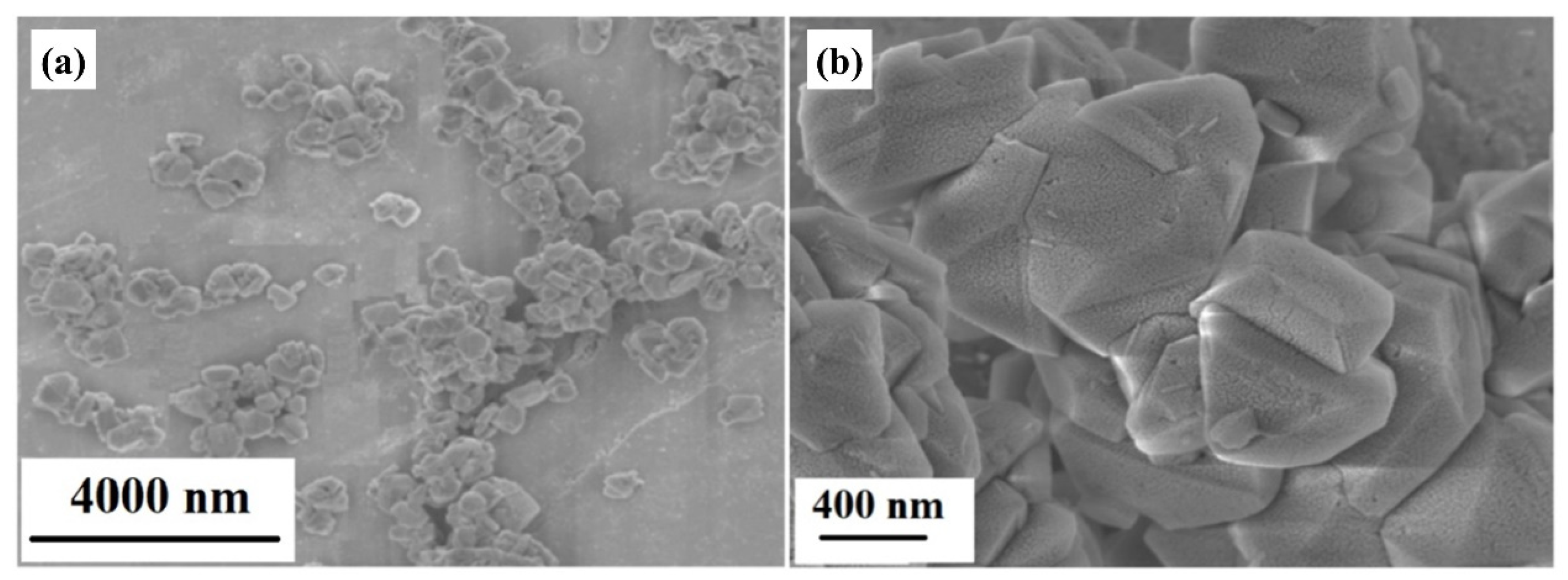 Molecules 29 02624 g001