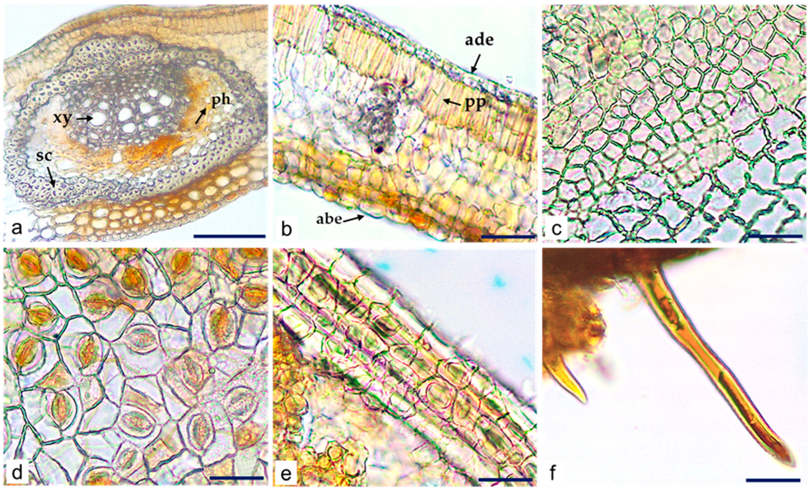 Molecules 29 02629 g004