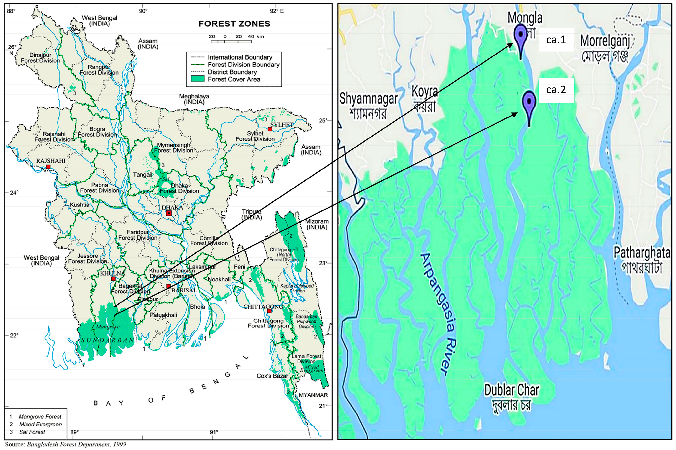 Molecules 29 02629 g013