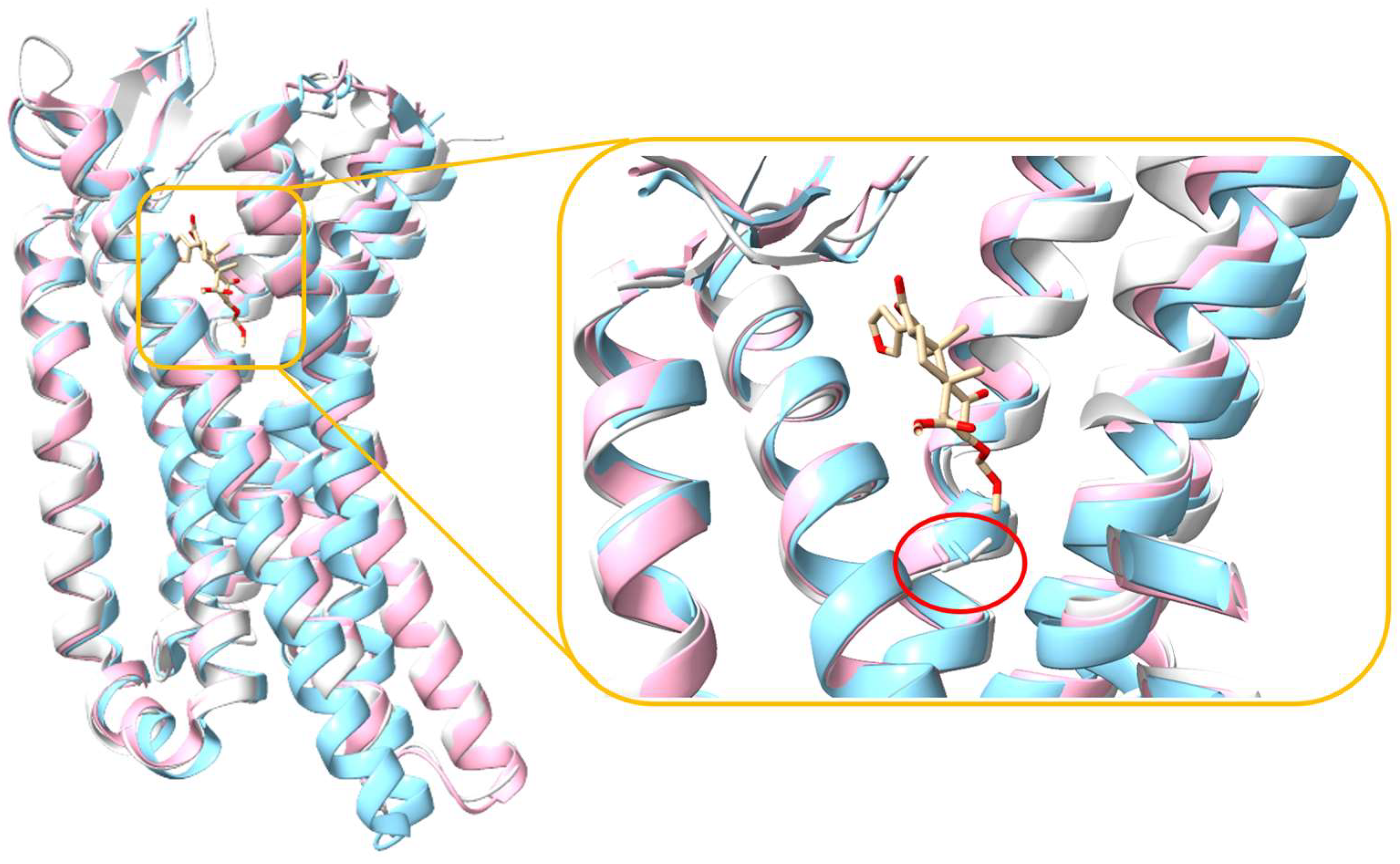 Molecules 29 02635 g005