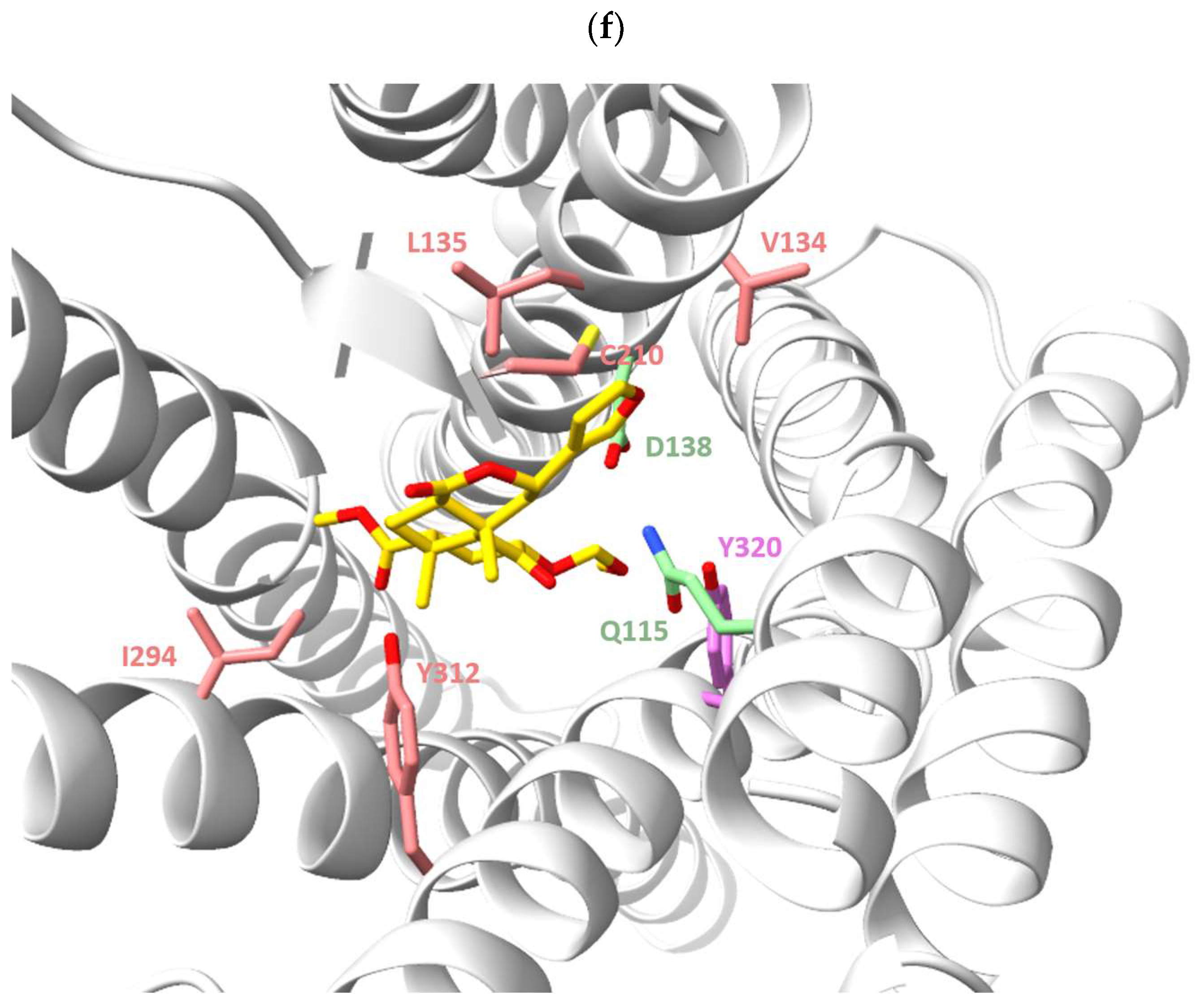 Molecules 29 02635 g006d