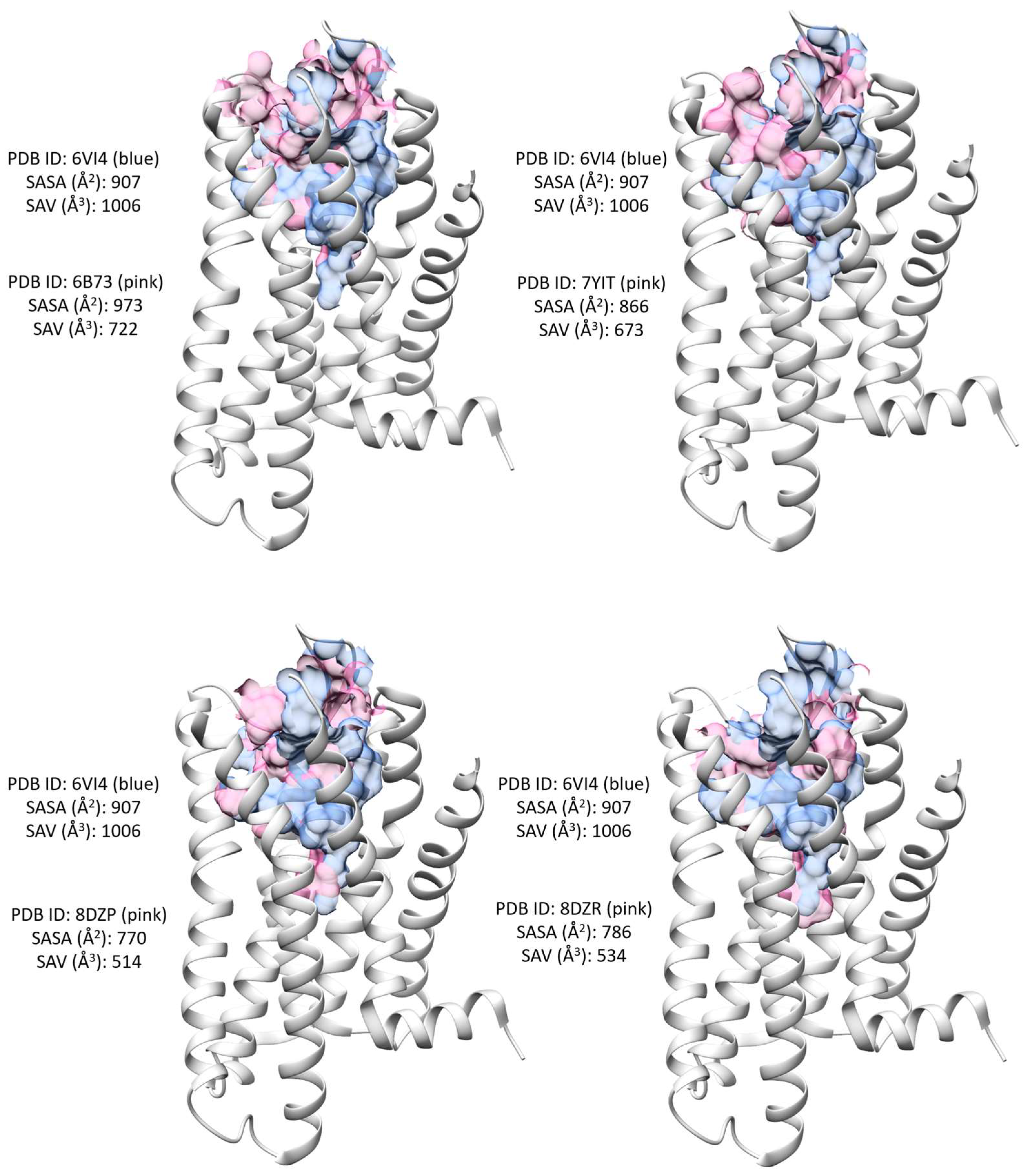 Molecules 29 02635 g007