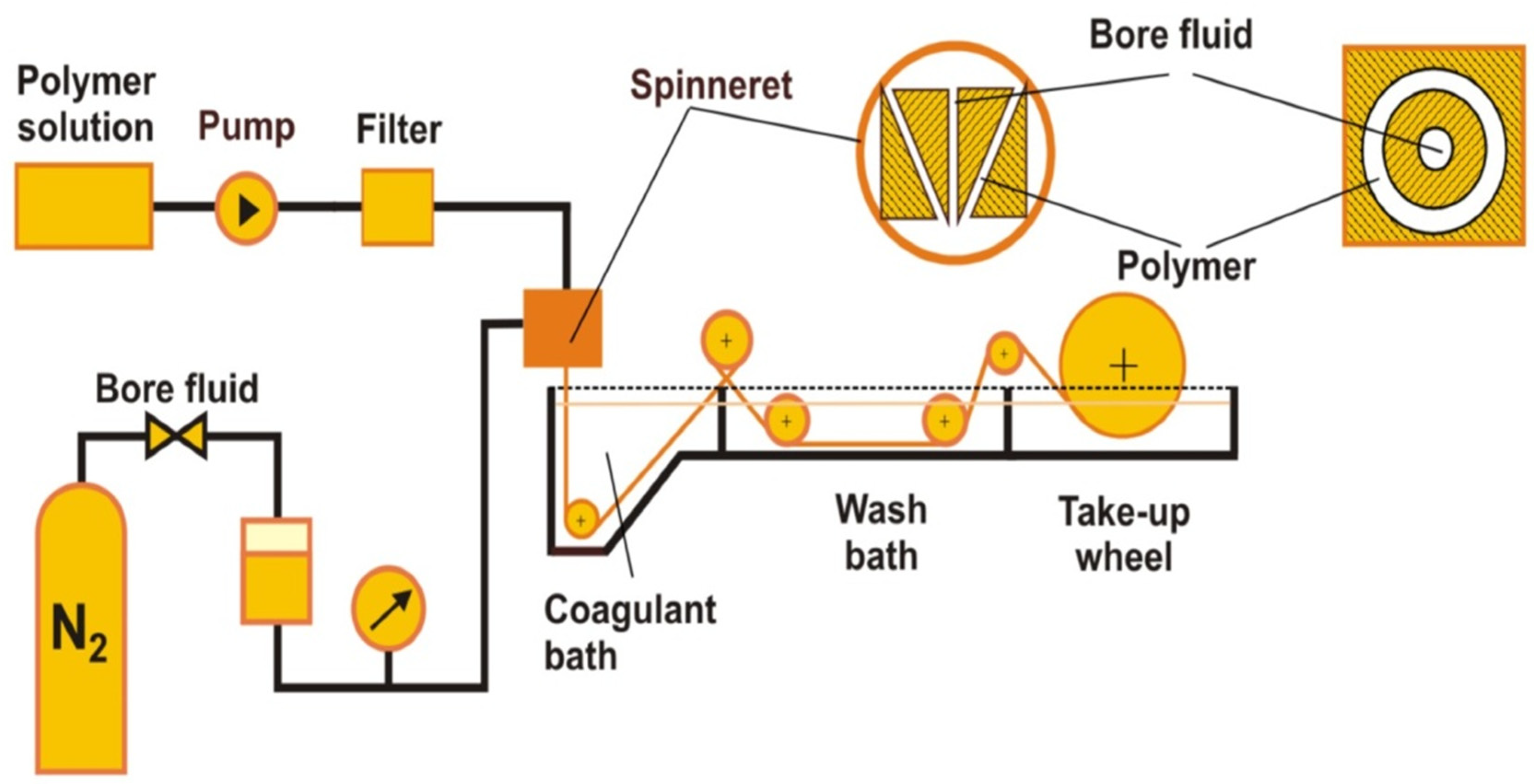 Molecules 29 02637 g002