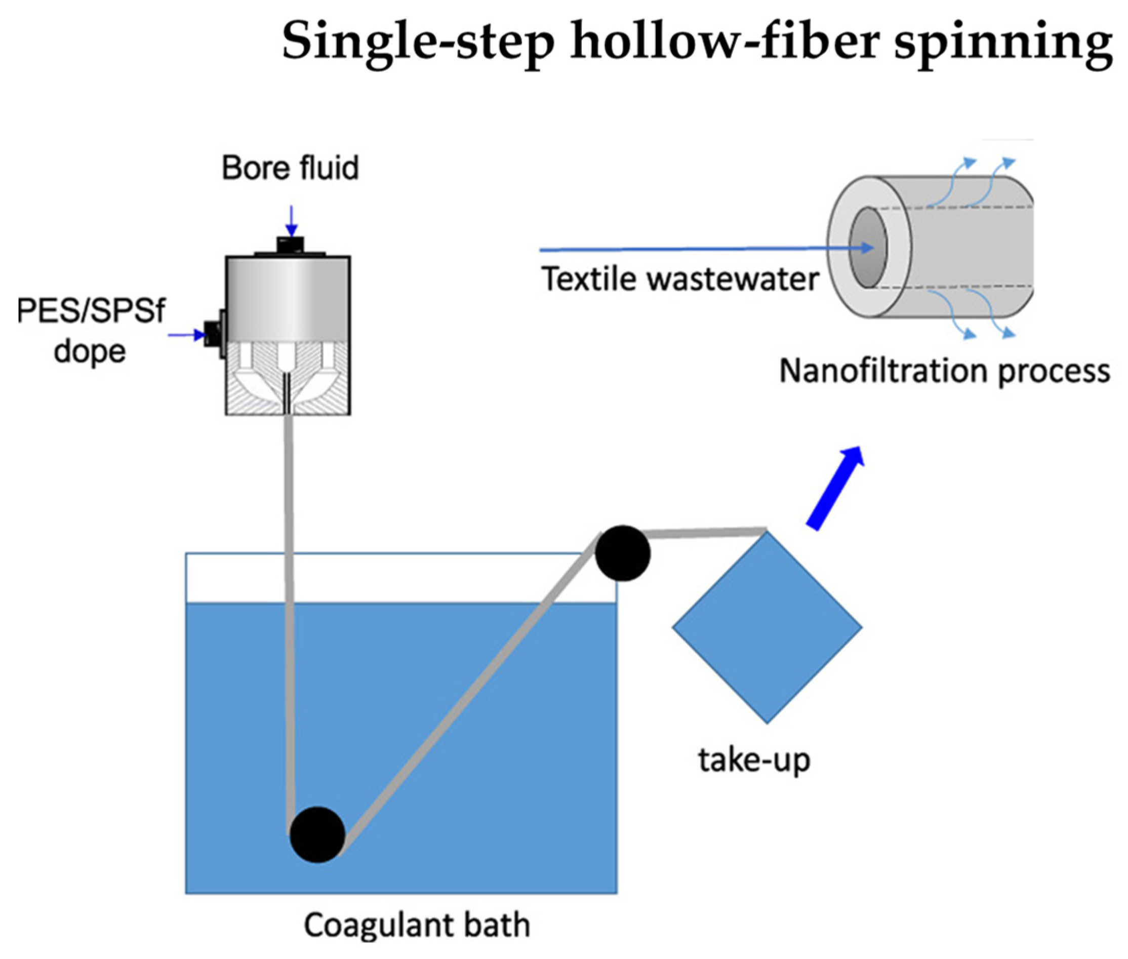 Molecules 29 02637 g005