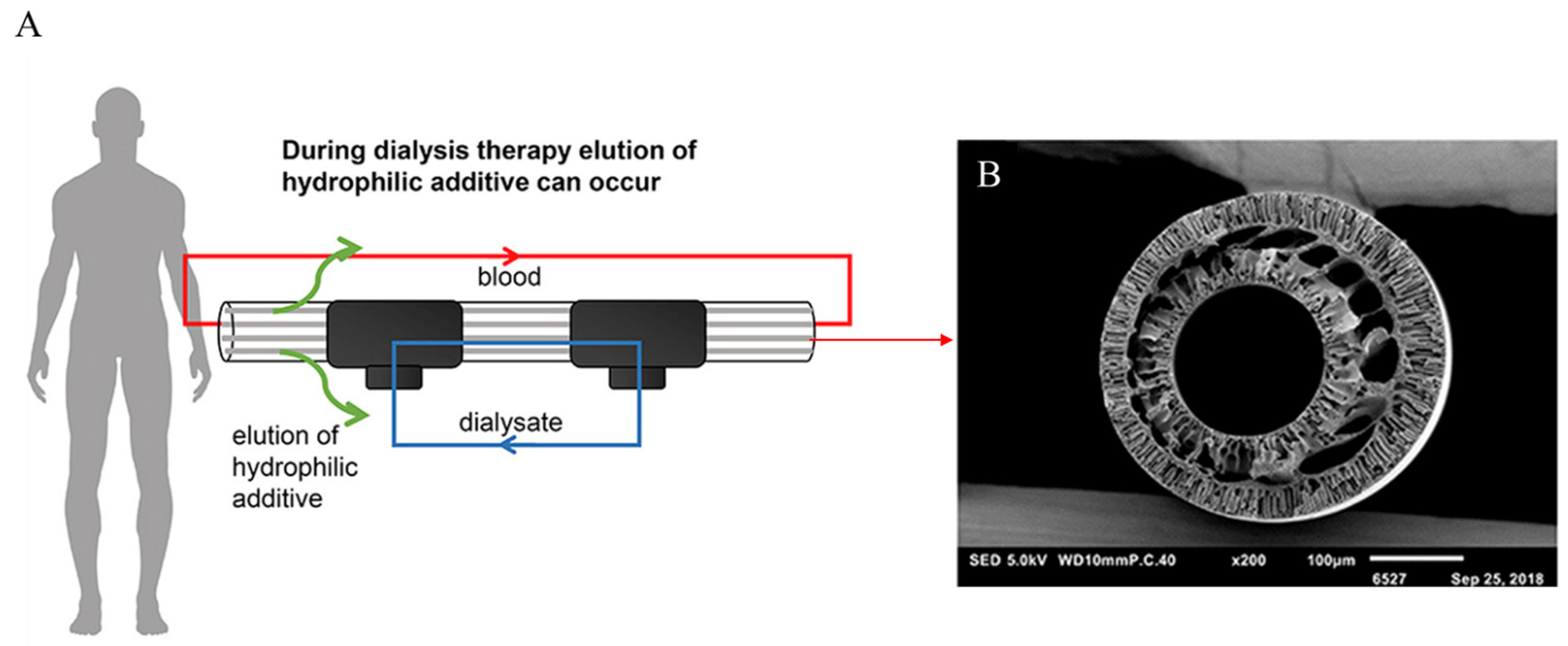 Molecules 29 02637 g007