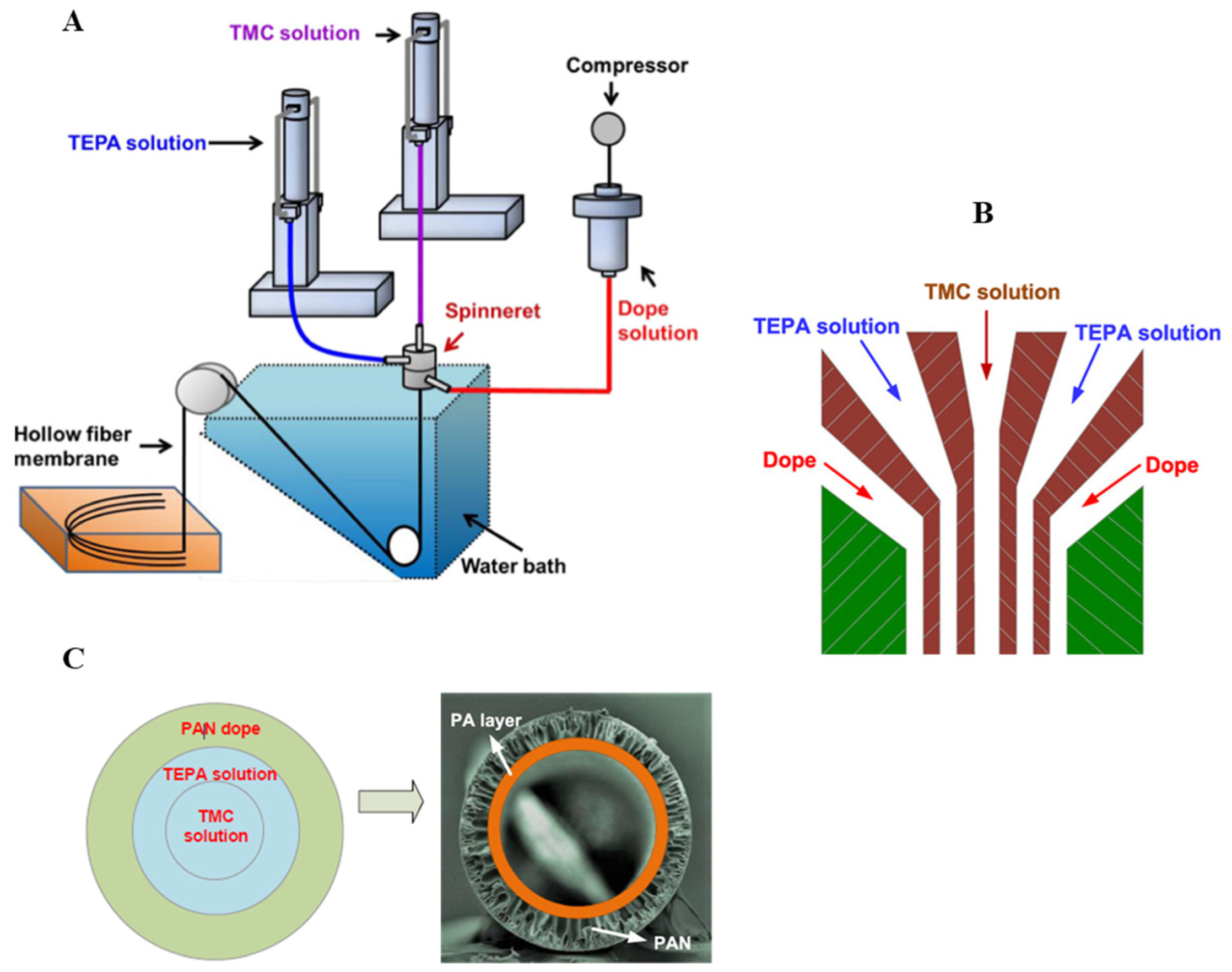 Molecules 29 02637 g010