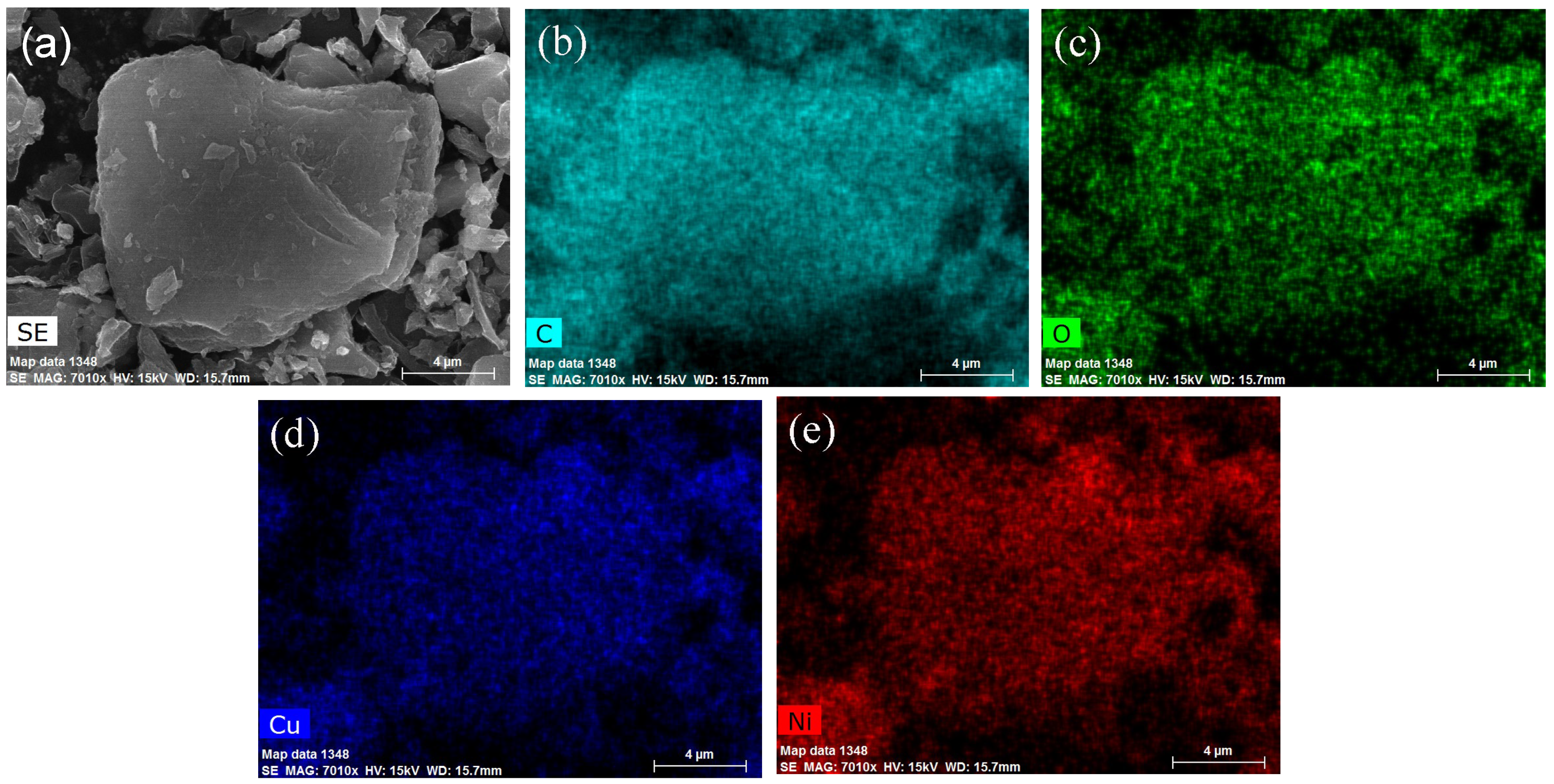 Molecules 29 02638 g005