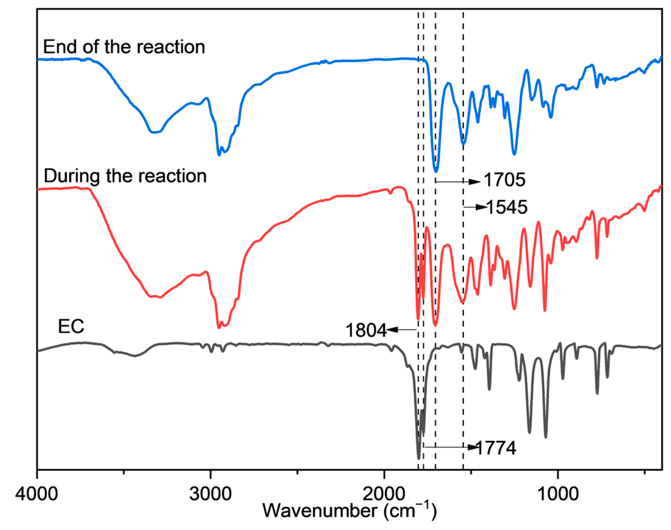 Molecules 29 02639 g001