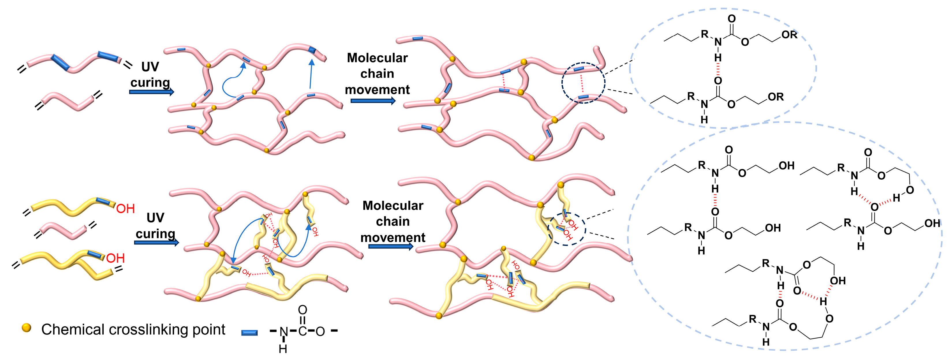 Molecules 29 02639 g009