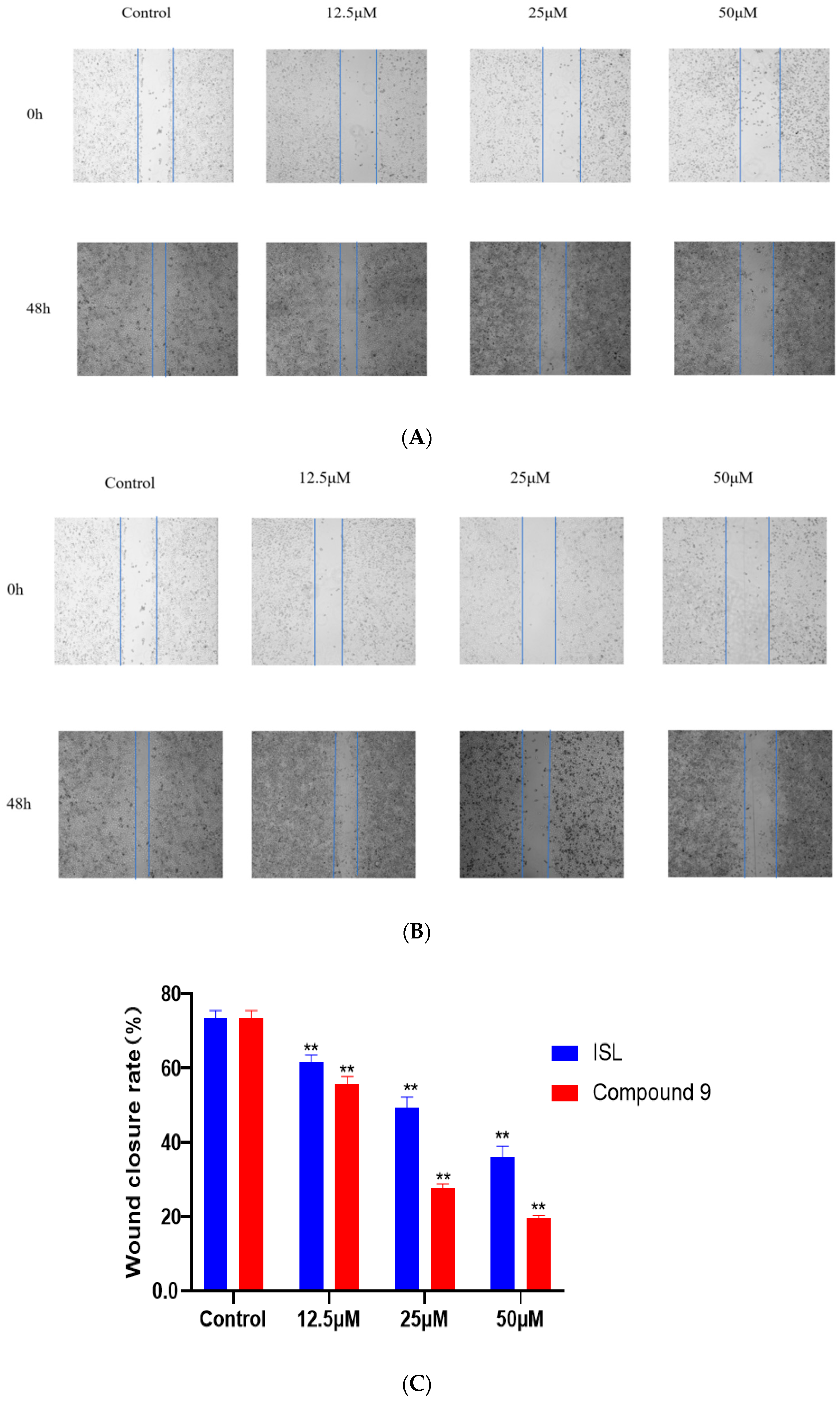 Molecules 29 02641 g001